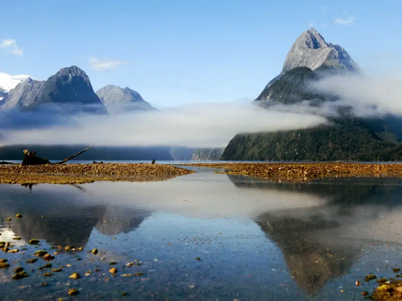 Der majestätische Mitre Peak im neuseeländischen Milford Sound, umgeben von Nebel, spiegelt sich im ruhigen Fjordwasser.
