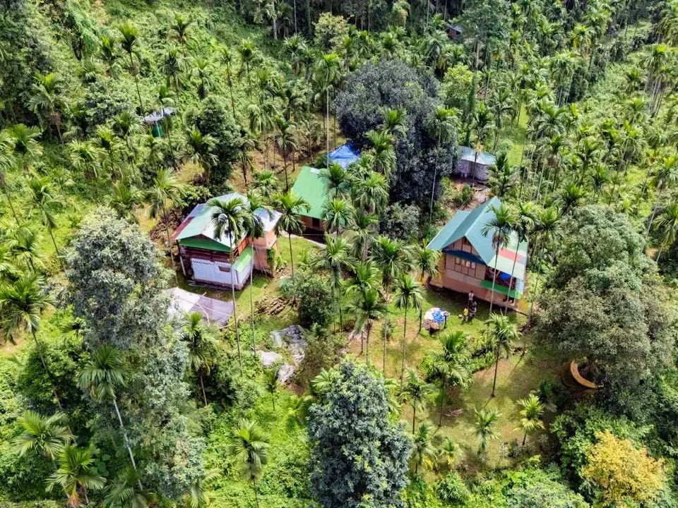 Twin Mango Farm
