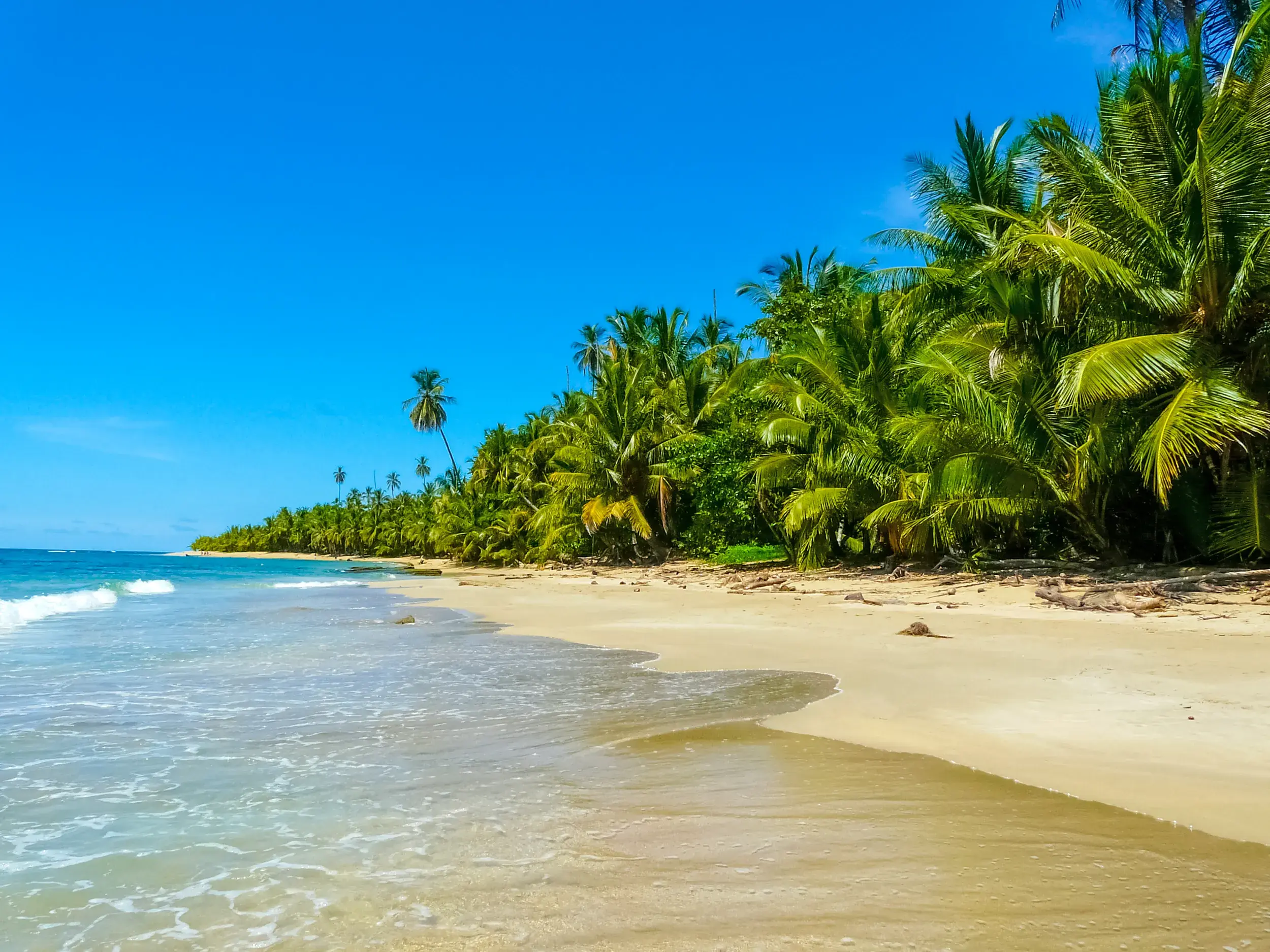 Heller Sandstrand im Cahuita-Nationalpark an Costa Ricas Karibikküste, gesäumt von Palmen und tropischem Regenwald.