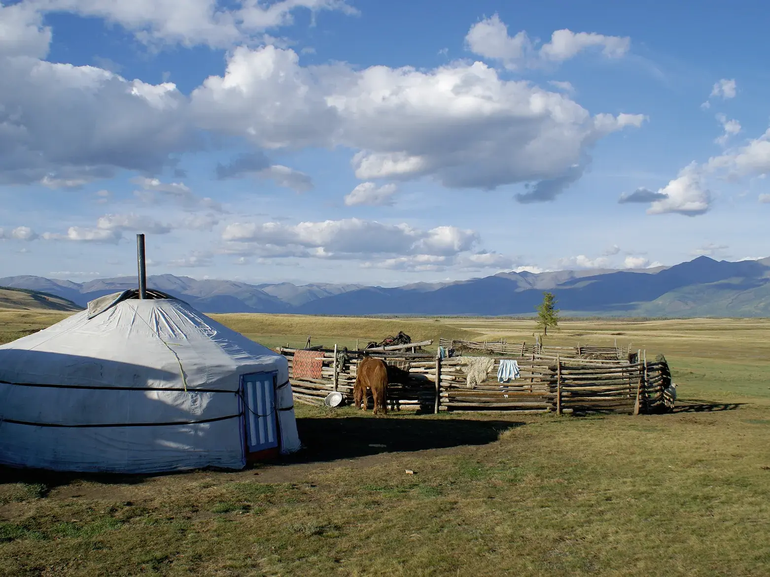 Authentische Jurte in der weiten mongolischen Steppe mit einem Pferch und Pferd vor einem malerischen Bergpanorama.