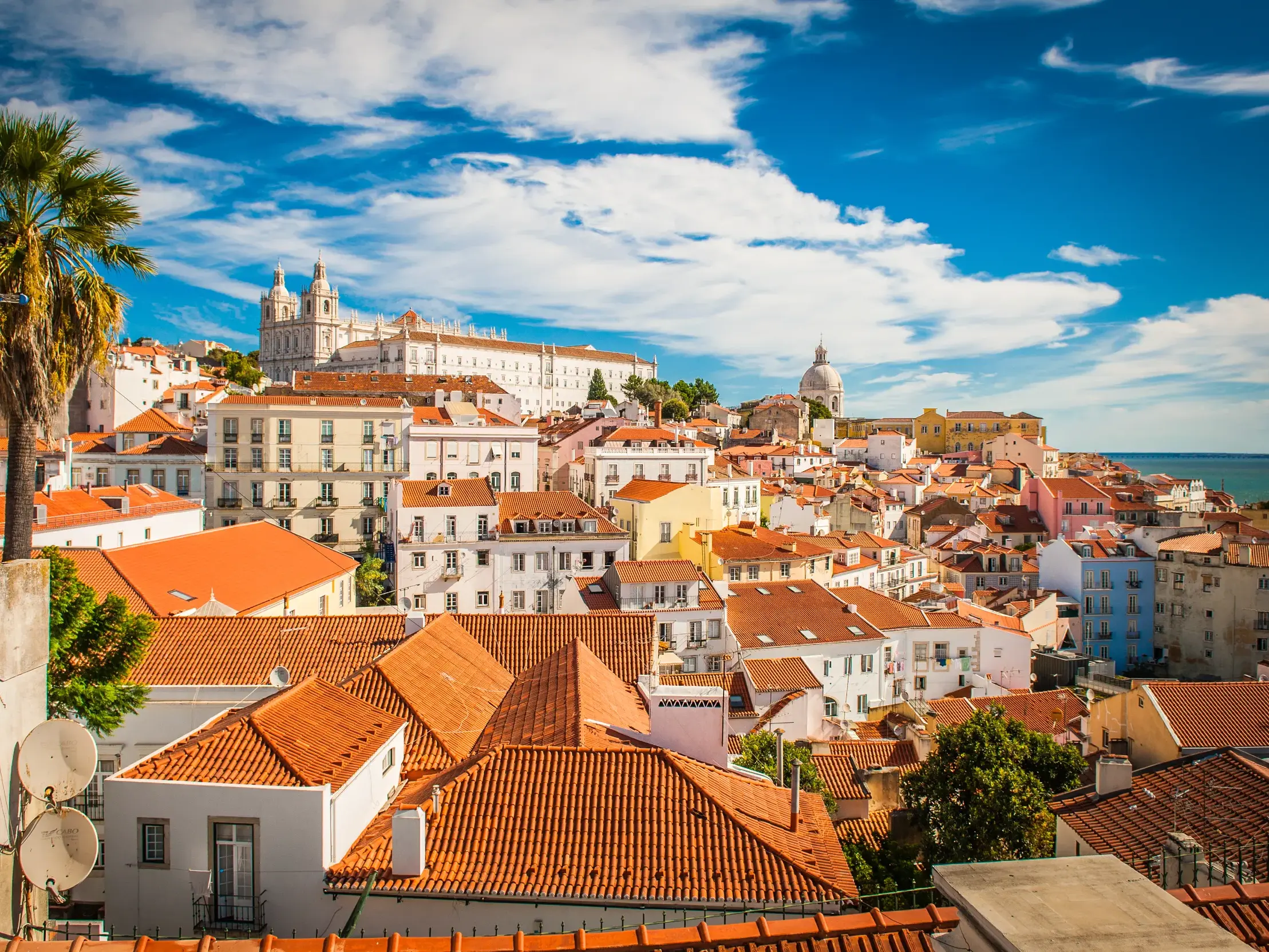 Malerischer Ausblick über die Dächer der Altstadt von Lissabon mit einer Palme und einer Kirche unter blauem Himmel.