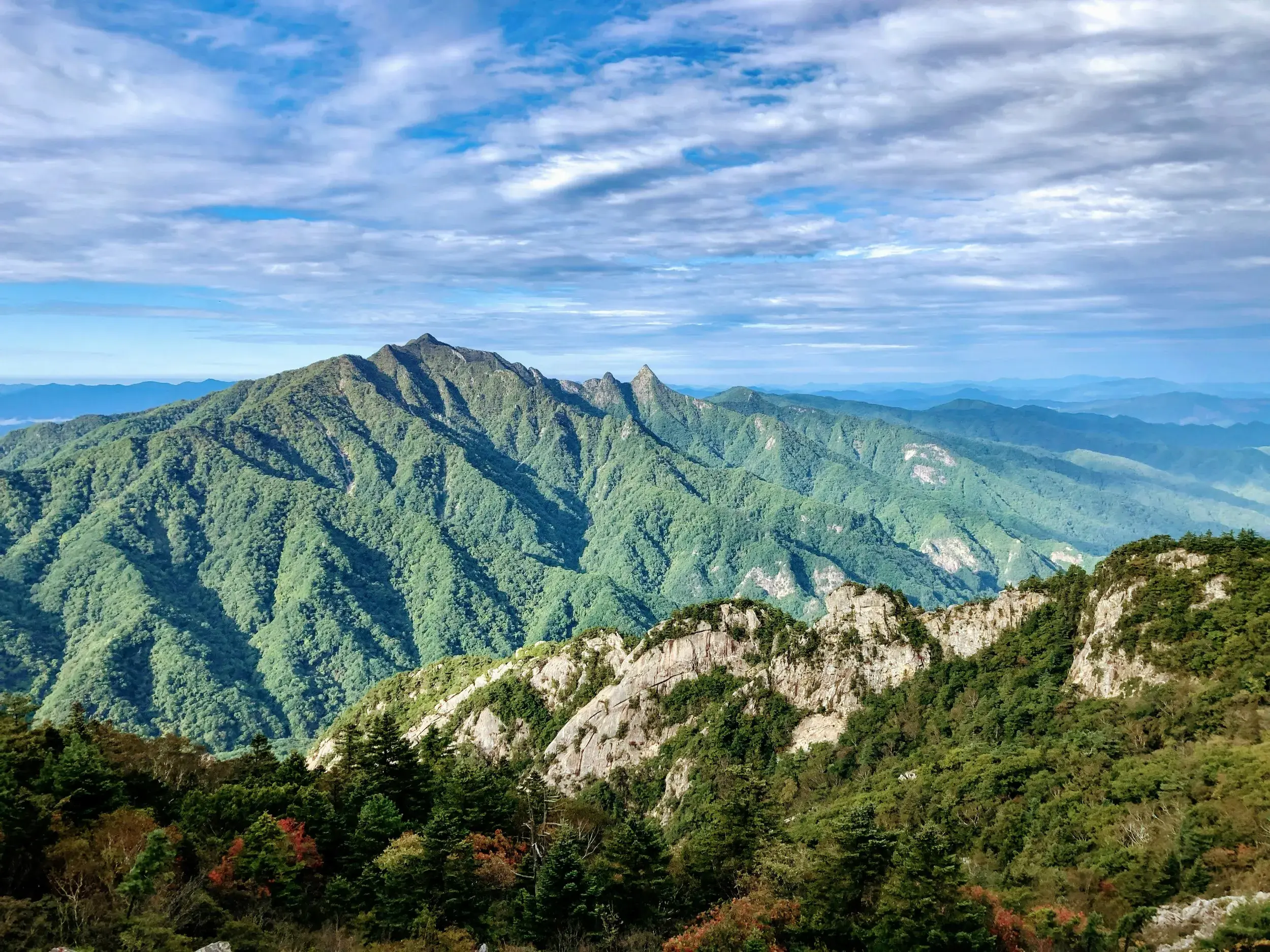 Panoramablick beim Wandern auf die dicht bewaldete Bergkette des Seoraksan-Nationalparks in Südkorea.