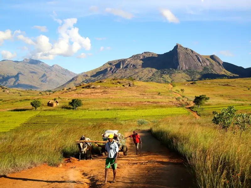 Einheimische mit einem Zebu-Karren auf einem Feldweg in Madagaskar, im Hintergrund das eindrucksvolle Andringitra-Gebirge.