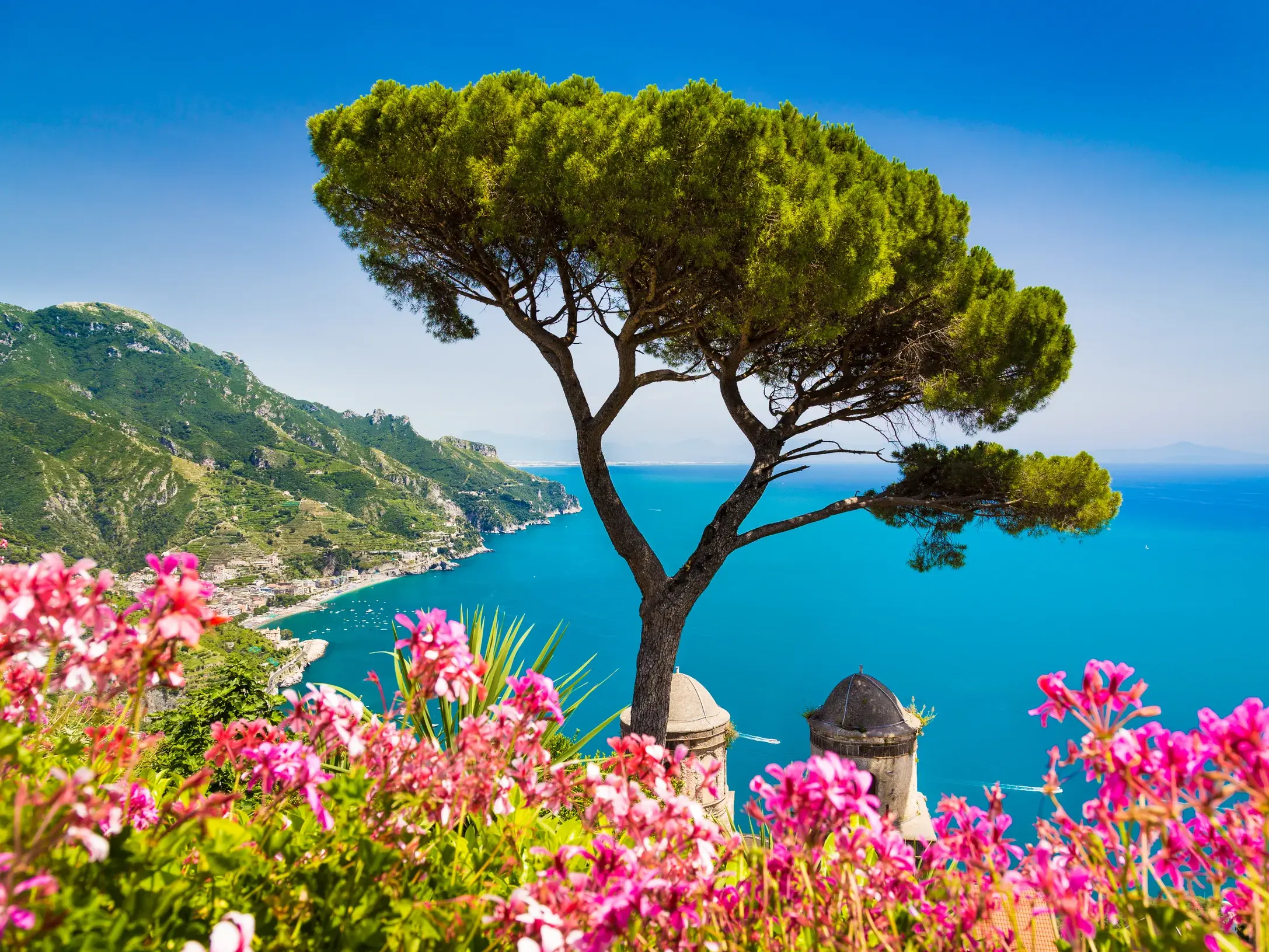 Panoramablick beim Wandern in Ravello: Pinie und Blumen im Vordergrund, dahinter die Amalfiküste und das Meer.