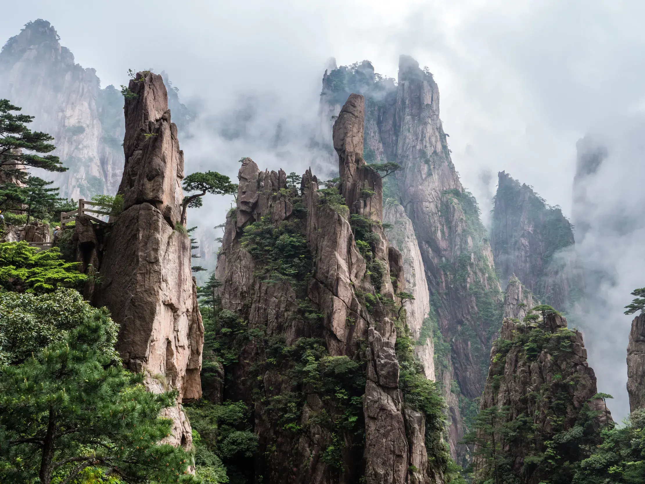 Dramatische Felsnadeln des Huang Shan Gebirges ragen bei einer Wanderreise in China aus dichten Nebelschwaden hervor.