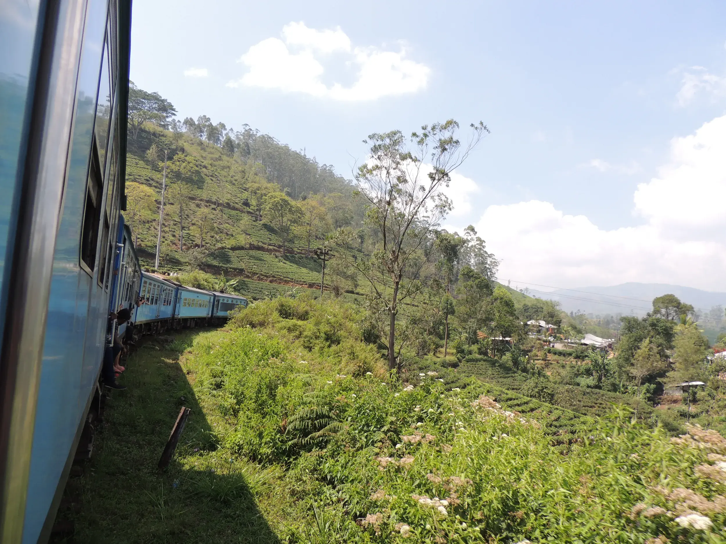 Malerische Zugfahrt in Sri Lanka: Ein blauer Zug schlängelt sich durch die grünen Teeplantagen im Hochland bei Hatton.