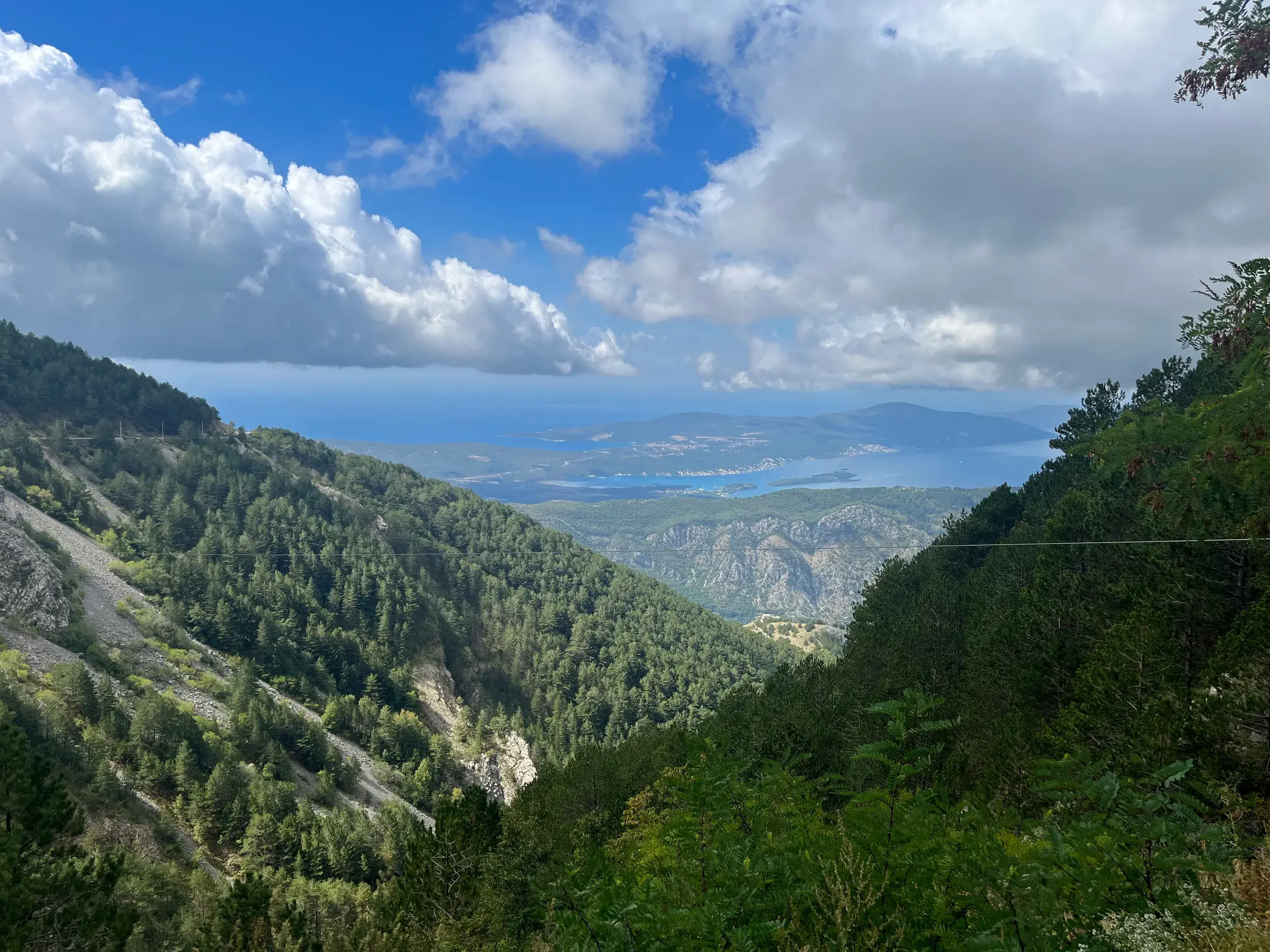 Panoramablick während einer Wanderung im Lovcen Nationalpark über bewaldete Berghänge auf die Bucht von Kotor in Montenegro.
