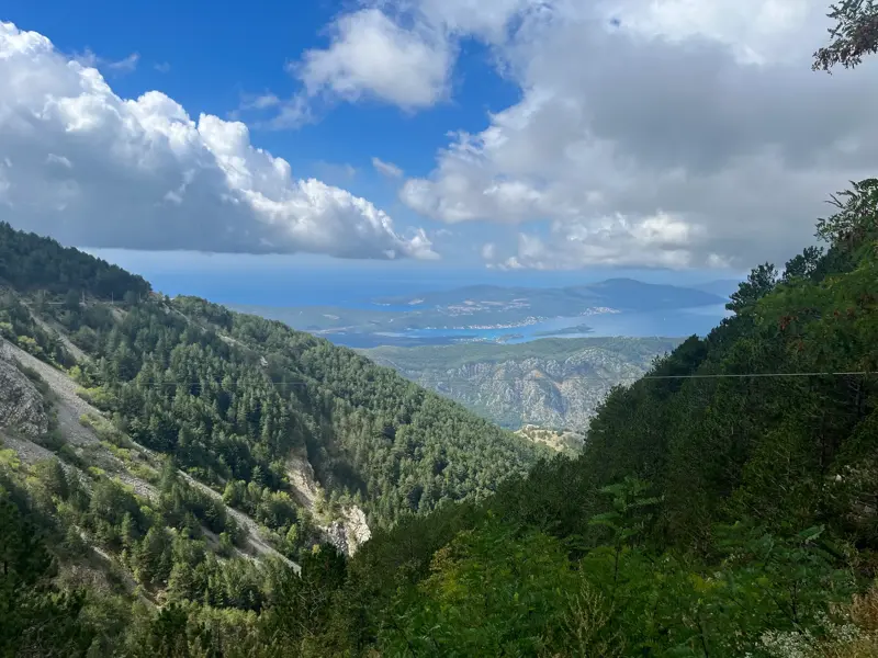 Panoramablick während einer Wanderung im Lovcen Nationalpark über bewaldete Berghänge auf die Bucht von Kotor in Montenegro.