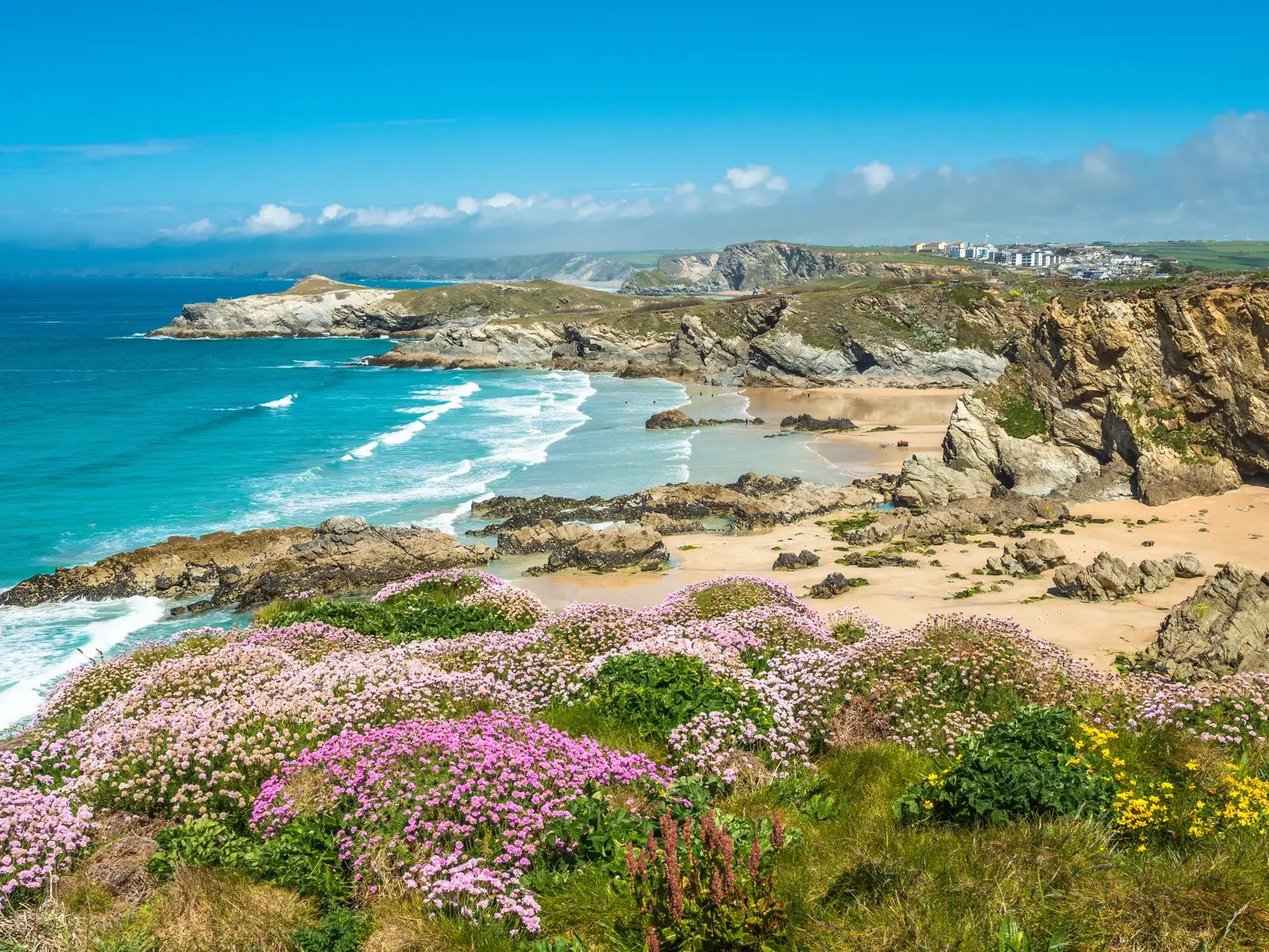 Blühende Klippen am South West Coast Path in Cornwall mit Blick auf einen Sandstrand und das türkisfarbene Meer.