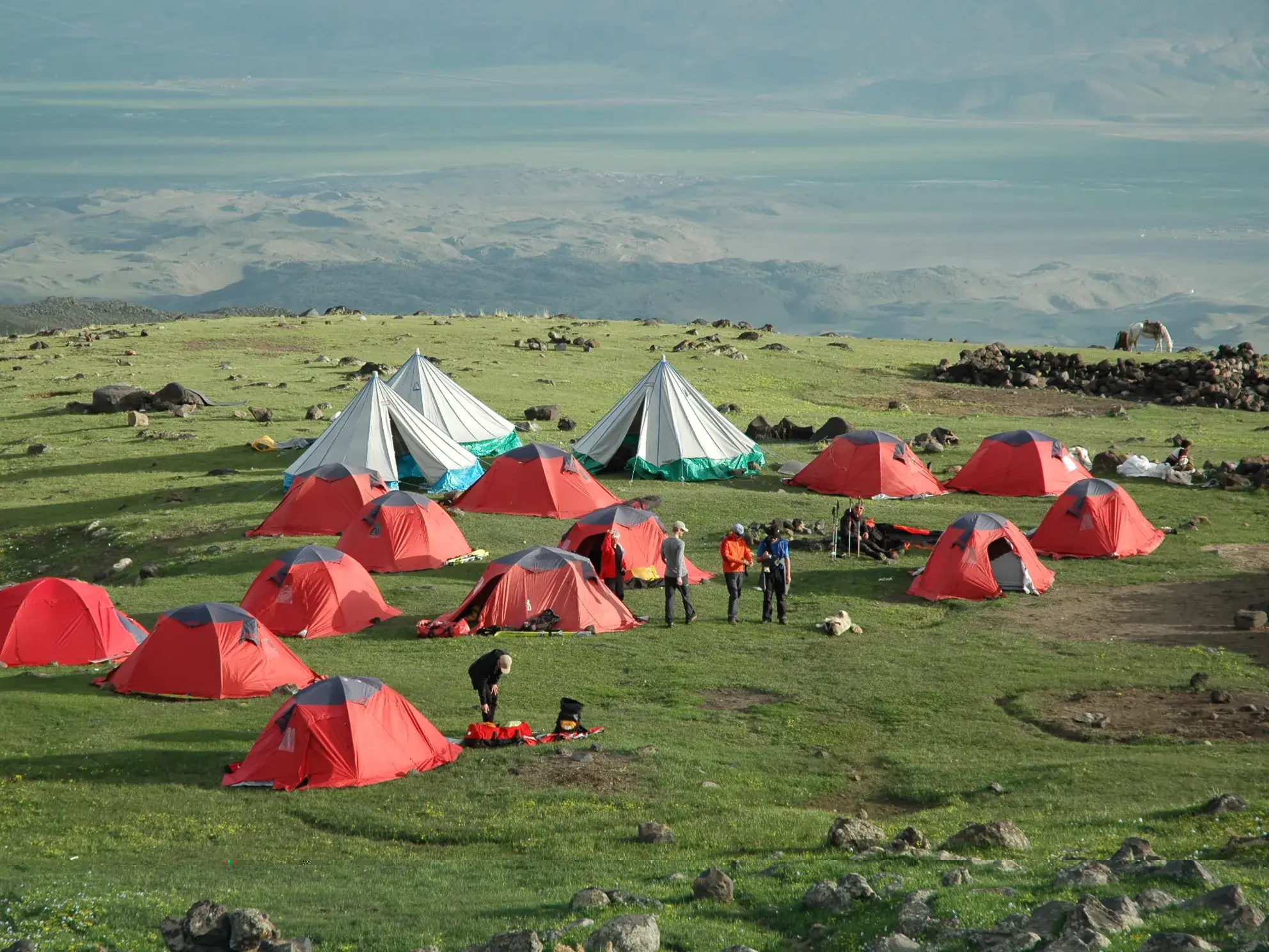 Zahlreiche rote Zelte des Basislagers für die Ararat-Besteigung auf einer grünen Wiese mit Blick auf das türkische Hochland.