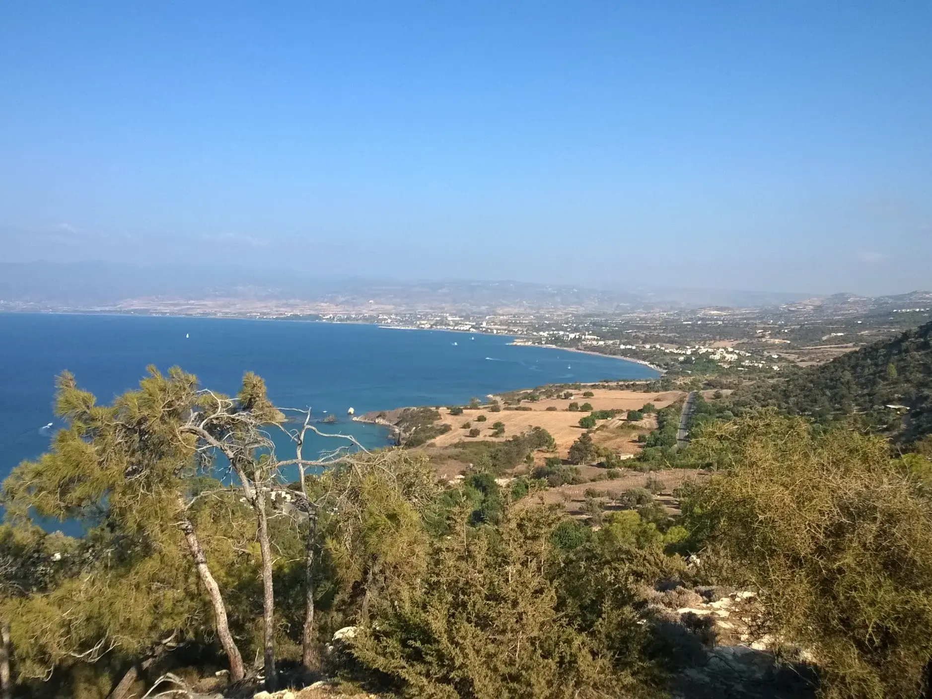 Weite Aussicht beim Wandern auf der Akamas Halbinsel über grüne Pinien und Macchia auf die Küste Zyperns am Mittelmeer.