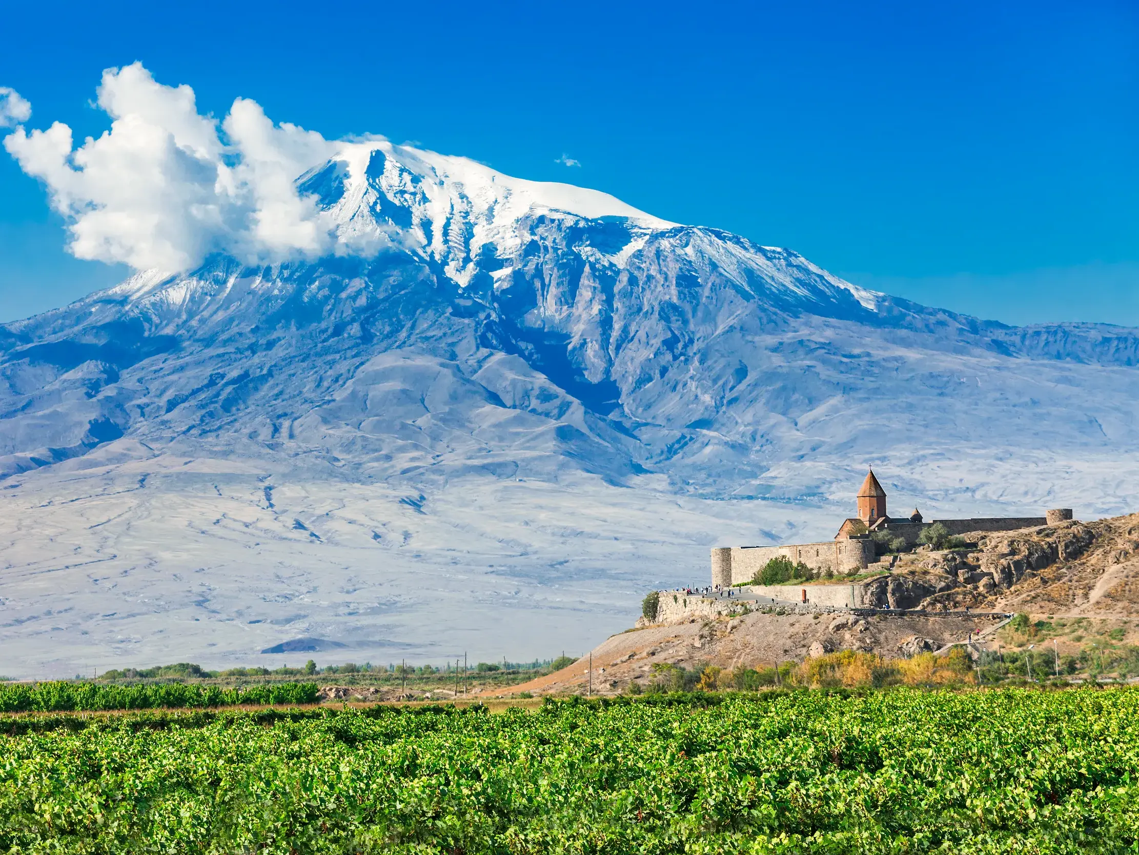 Das Kloster Chor Wirab in Armenien vor dem schneebedeckten Berg Ararat, im Vordergrund ein grüner Weinberg.