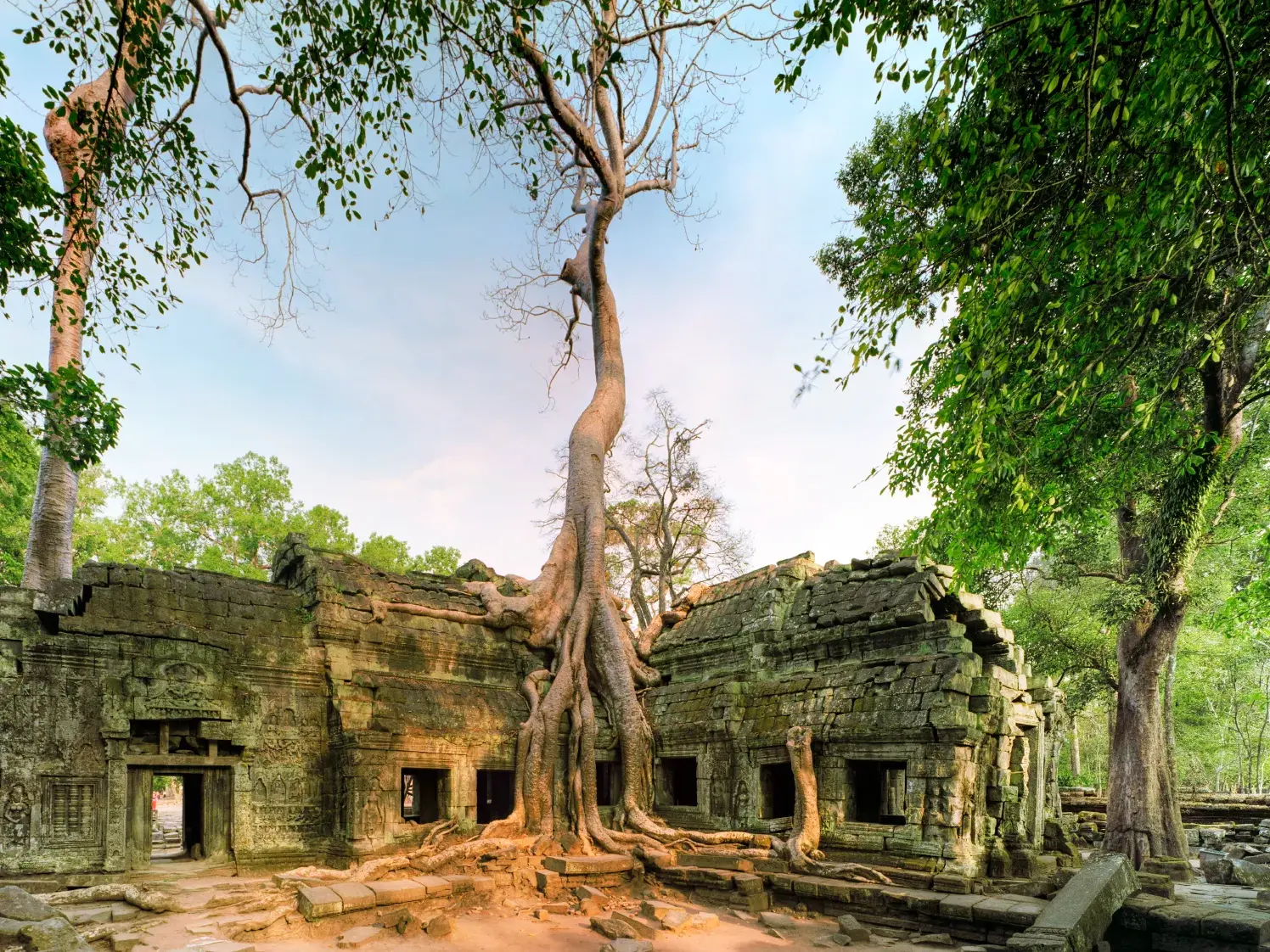 Die von der Natur zurückeroberten Ruinen des Dschungeltempels Ta Prohm in Angkor mit mächtigen, umklammernden Baumwurzeln.