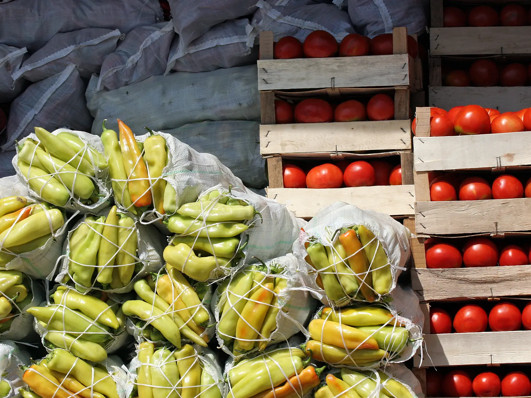 Helle Paprika in Säcken und reife Tomaten in Kisten auf dem Grünmarkt in Tirana für eine vitaminreiche Kostprobe.