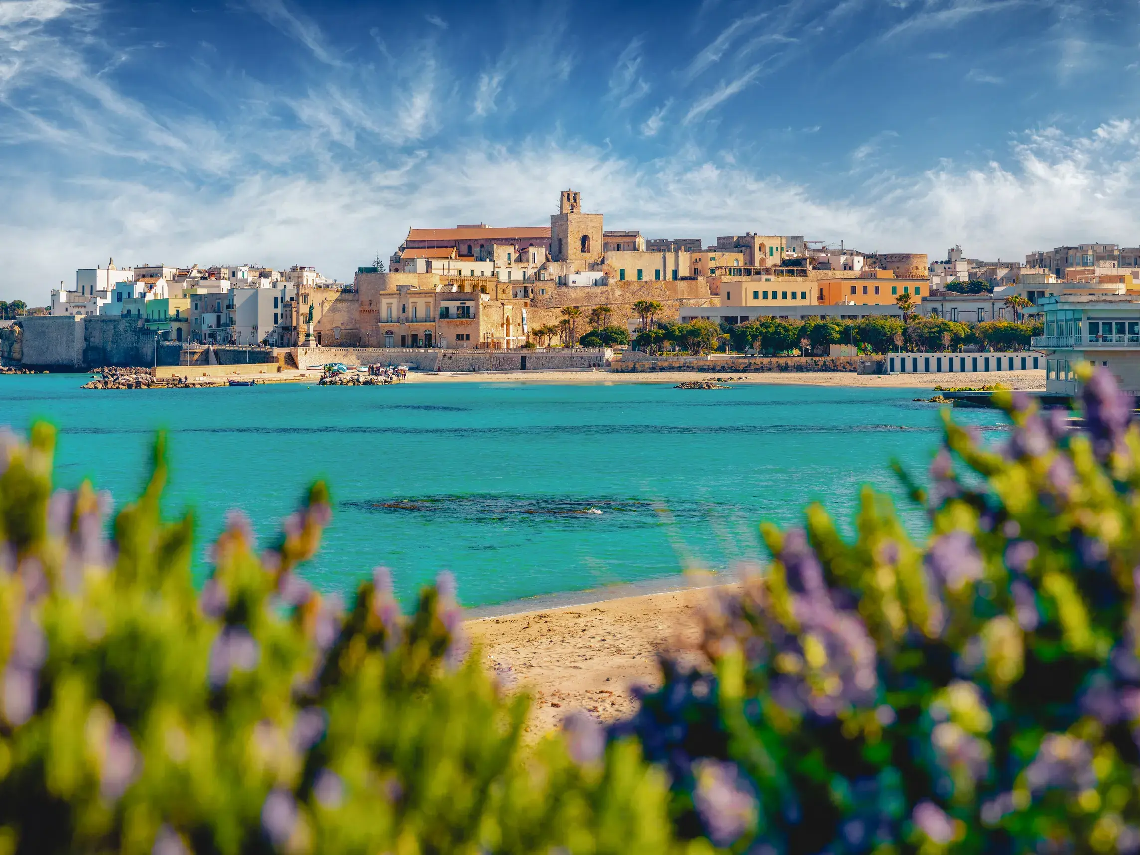 Blick über violette Küstenblumen auf die historische Altstadt von Otranto und ihre Bucht mit türkisfarbenem Meer in Apulien.