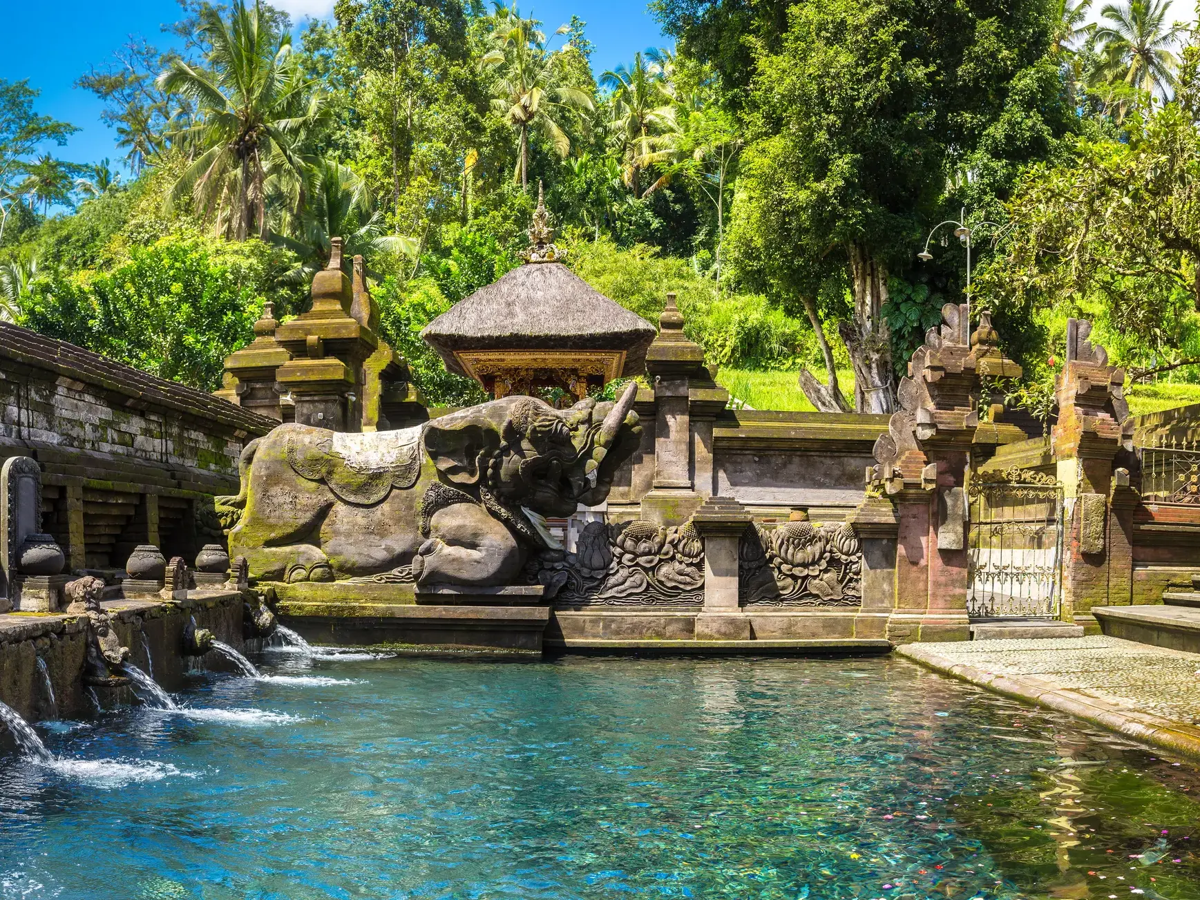 Heilige Quelle im Tirta Empul Tempel auf Bali, wo Wasser aus Steinspeiern in ein türkises Becken vor tropischer Kulisse fließt.