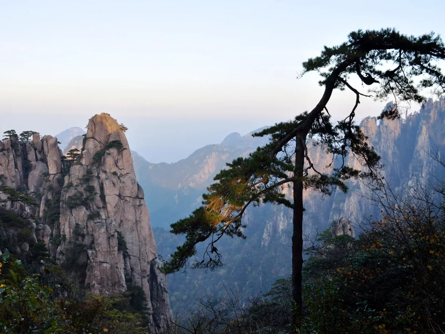 Majestätische Felsgipfel und eine alte Kiefer im UNESCO-Weltnaturerbe Huang Shan während einer Wanderreise in China.