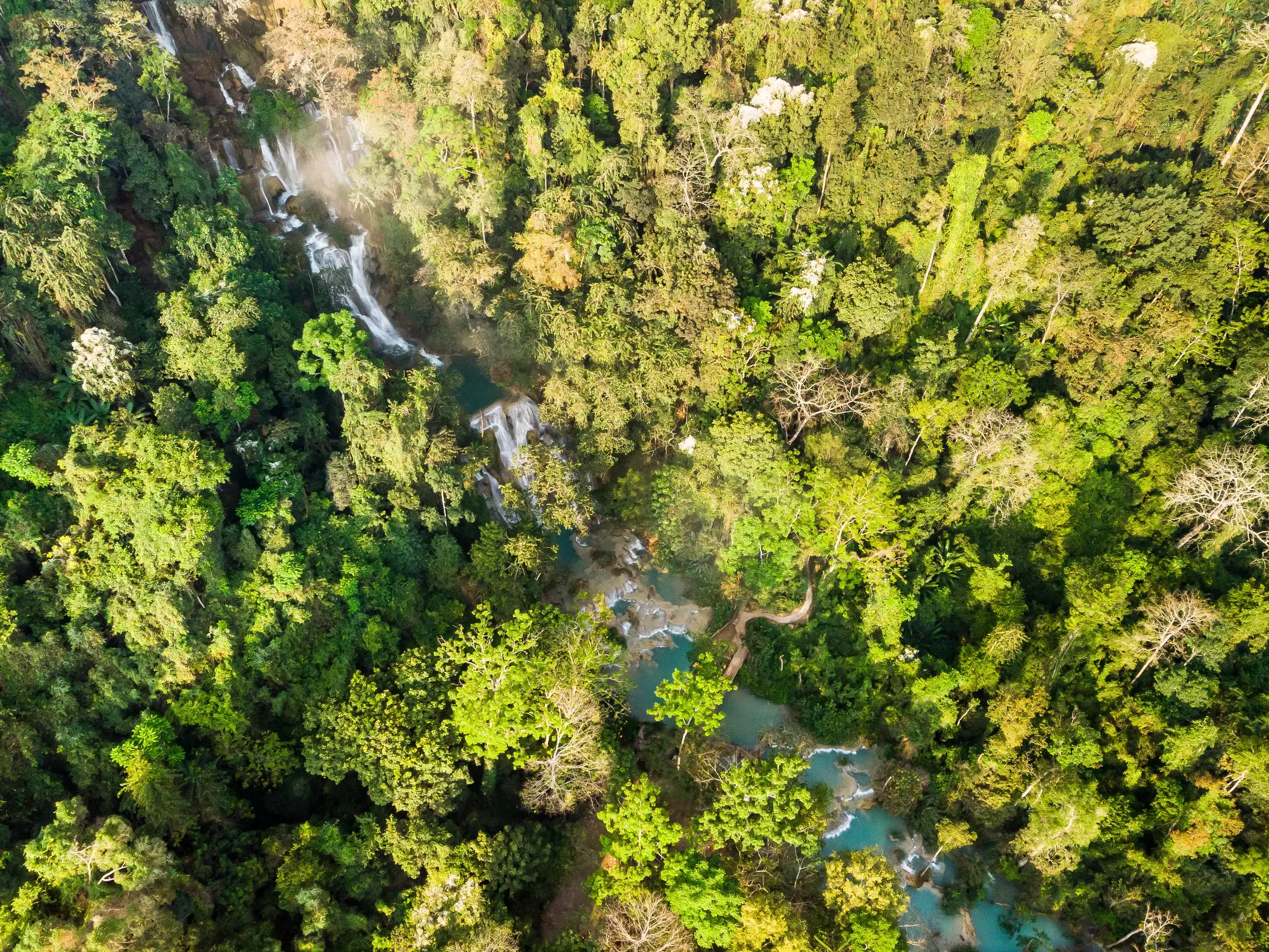 Luftaufnahme des Kuang Si Wasserfalls in Laos, dessen türkise Kaskaden durch den dichten, grünen Dschungel fließen.