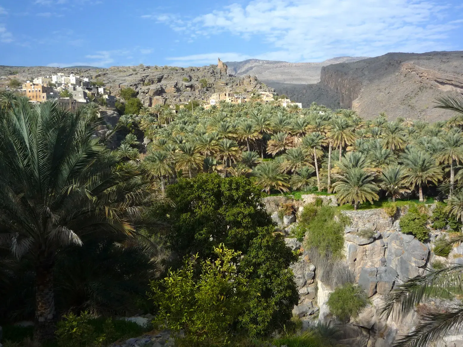 Blick auf die grüne Bergoase Misfat al Abreyeen im Oman, deren Palmenhaine sich an die kargen Felsen schmiegen.