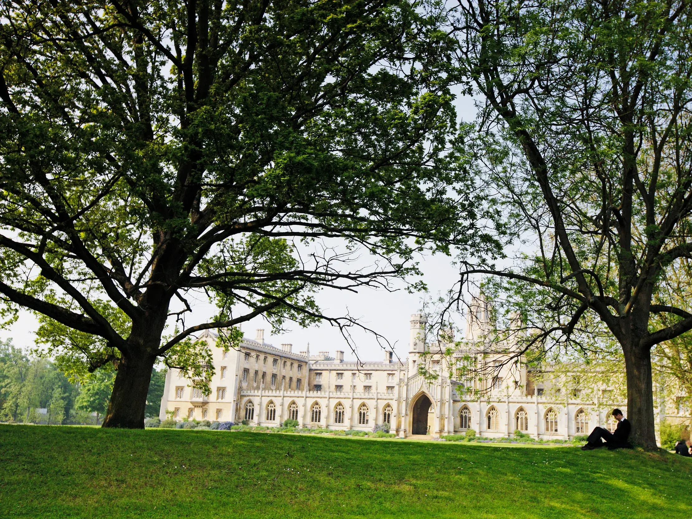Ein Student entspannt im Park unter Bäumen mit Blick auf die gotische Architektur des King's College in Cambridge.