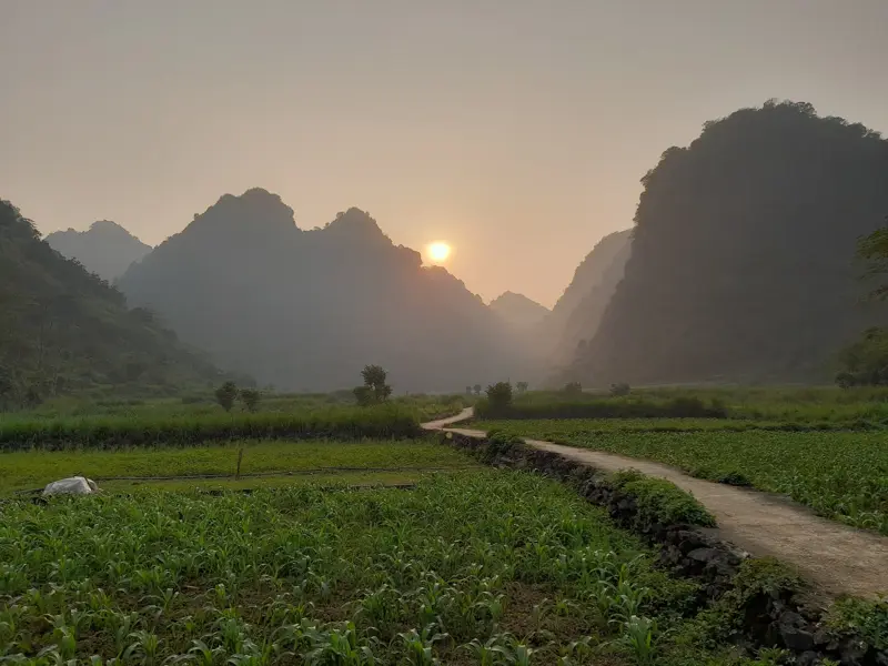 Ein Wanderpfad schlängelt sich durch grüne Felder zur Kulisse der Karstberge von Cao Bang bei Sonnenuntergang.