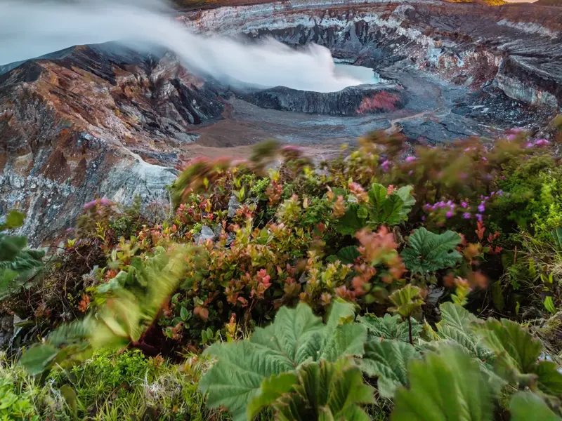 Blick über windbewegte Pflanzen auf den aktiven Vulkan Poás in Costa Rica mit seinem dampfenden, türkisen Kratersee.