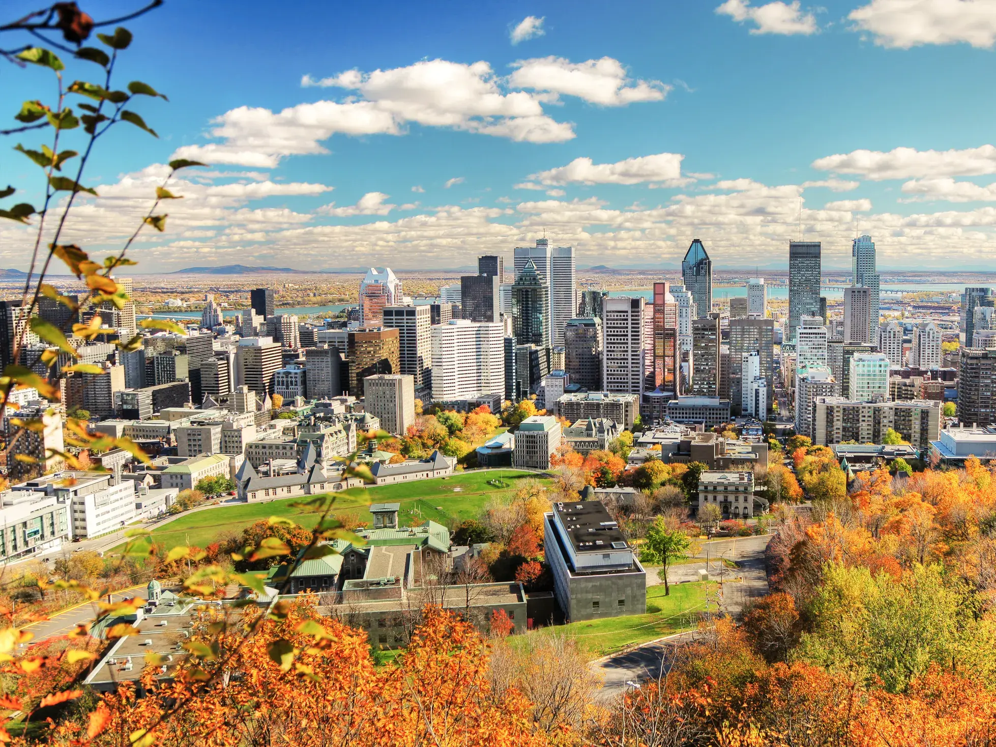 Weitblick vom Mont Royal über das bunte Herbstlaub auf die Skyline von Montréal im sonnigen Indian Summer.