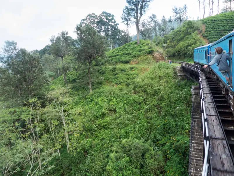 Ein blauer Zug fährt auf einer Wanderreise über eine Brücke durch die dichten, grünen Teeplantagen im Hochland von Sri Lanka.