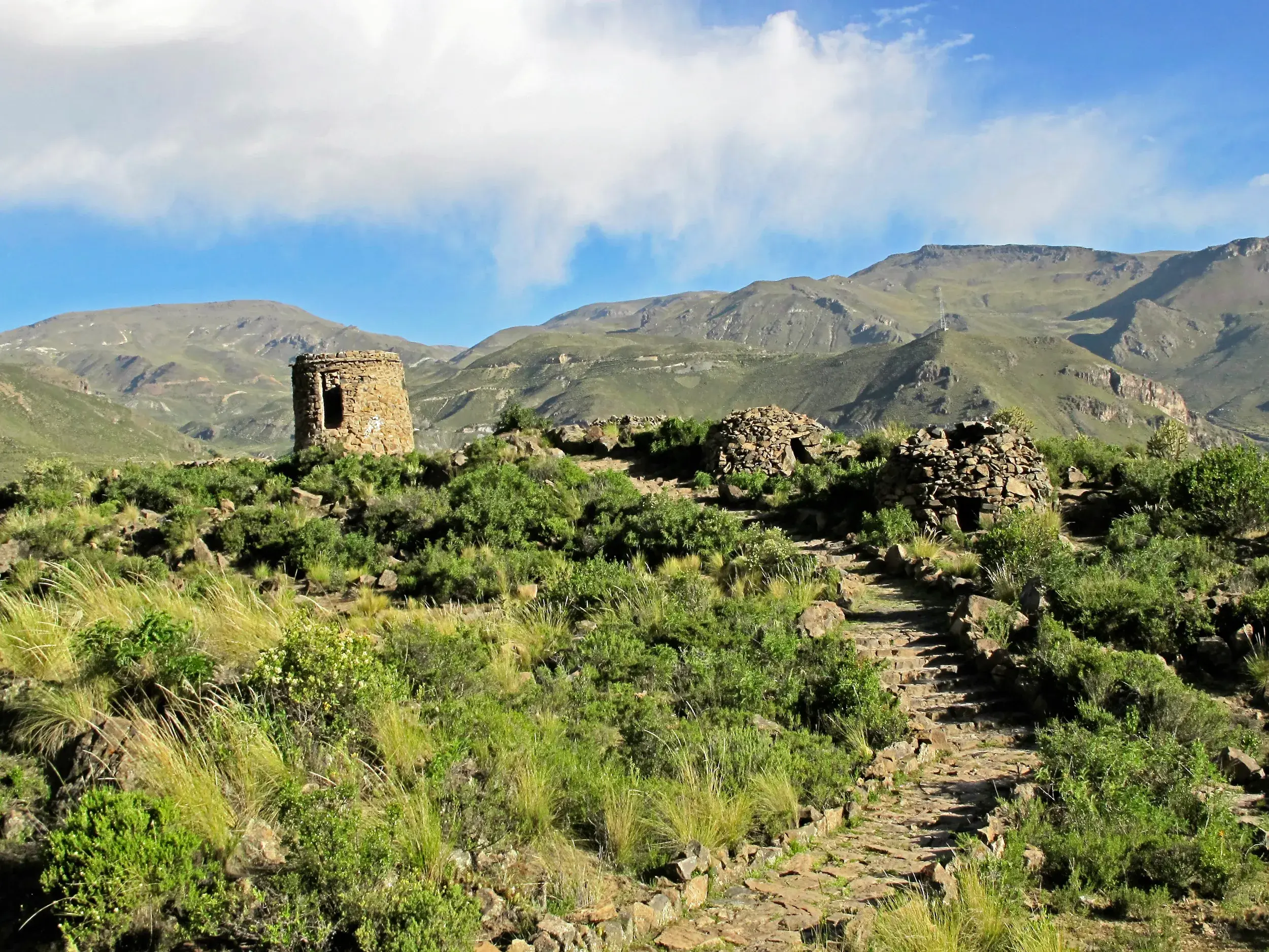Ein Steinpfad führt bergauf zu den runden Lamparashi-Gräbern aus der Prä-Inka-Zeit in der grünen Berglandschaft des Colca-Tals.