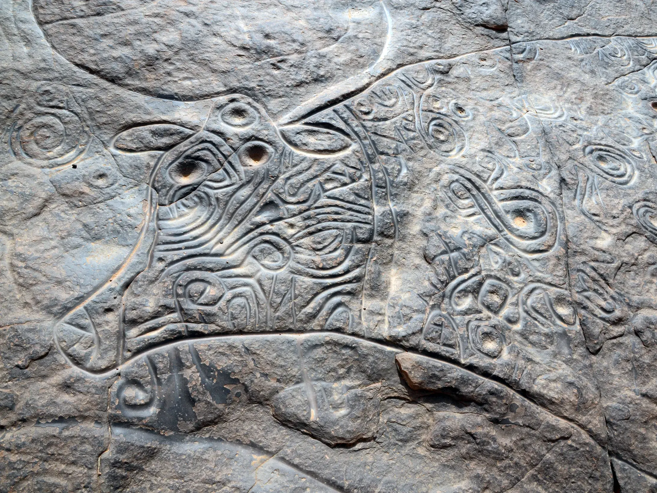 Nahaufnahme der Felsgravur 'Lockige Kuh' mit Spiralmustern in Tinterghert, Tassili n'Ajjer Nationalpark, Algerien.