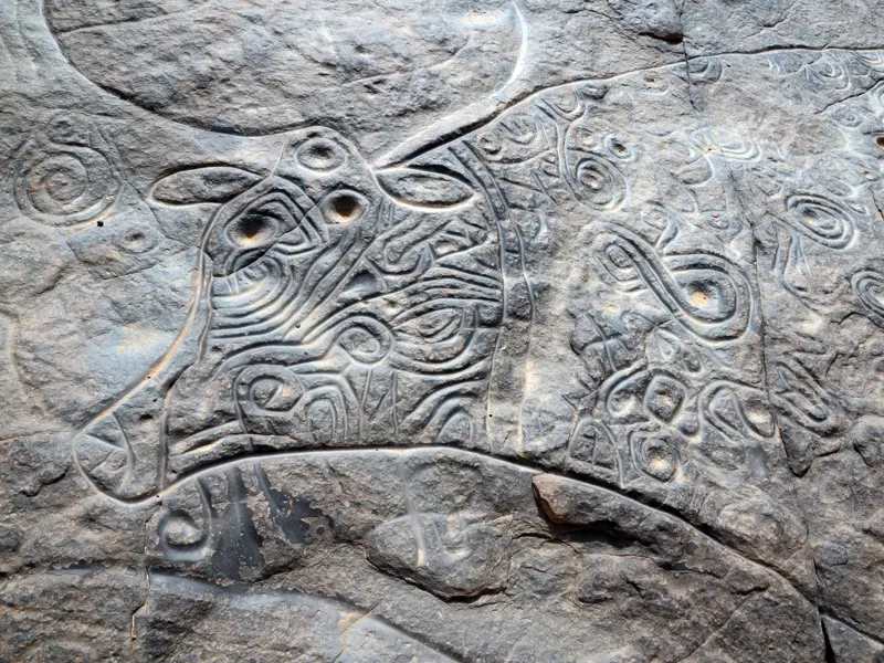 Nahaufnahme der Felsgravur 'Lockige Kuh' mit Spiralmustern in Tinterghert, Tassili n'Ajjer Nationalpark, Algerien.