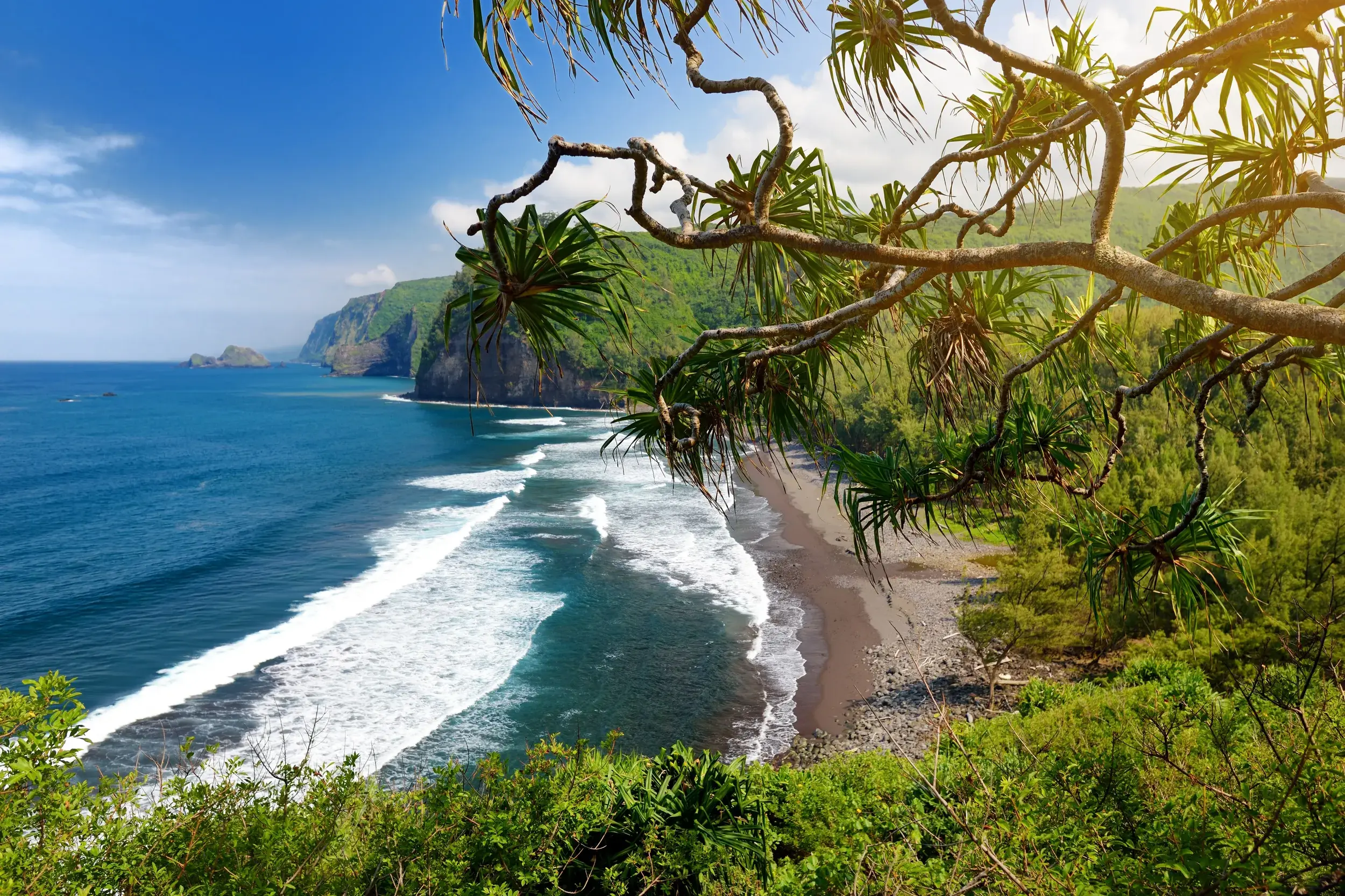 Eine Wanderung auf Big Island bietet den Blick auf das Pololu-Tal mit schwarzem Sandstrand und grünen Klippen am Pazifik.