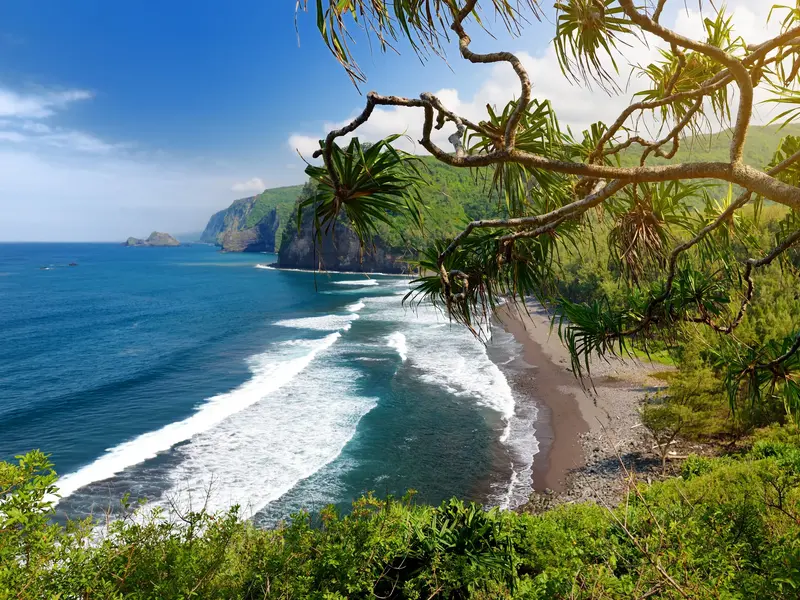 Eine Wanderung auf Big Island bietet den Blick auf das Pololu-Tal mit schwarzem Sandstrand und grünen Klippen am Pazifik.