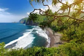 Eine Wanderung auf Big Island bietet den Blick auf das Pololu-Tal mit schwarzem Sandstrand und grünen Klippen am Pazifik.