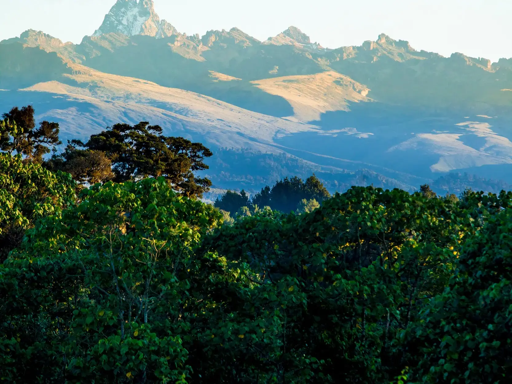 Malerischer Ausblick während eines Trekkings in Kenia über grüne Baumwipfel auf das sonnenbeschienene Mount-Kenya-Massiv.