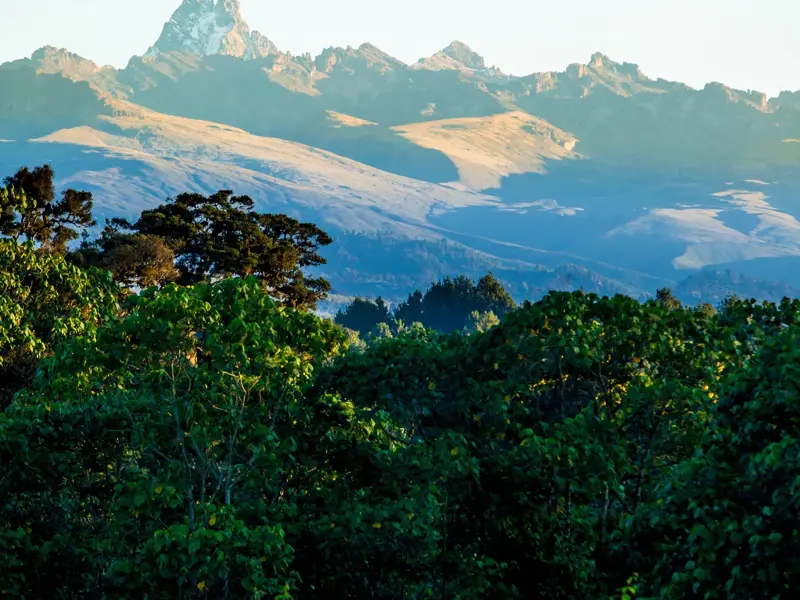 Malerischer Ausblick während eines Trekkings in Kenia über grüne Baumwipfel auf das sonnenbeschienene Mount-Kenya-Massiv.