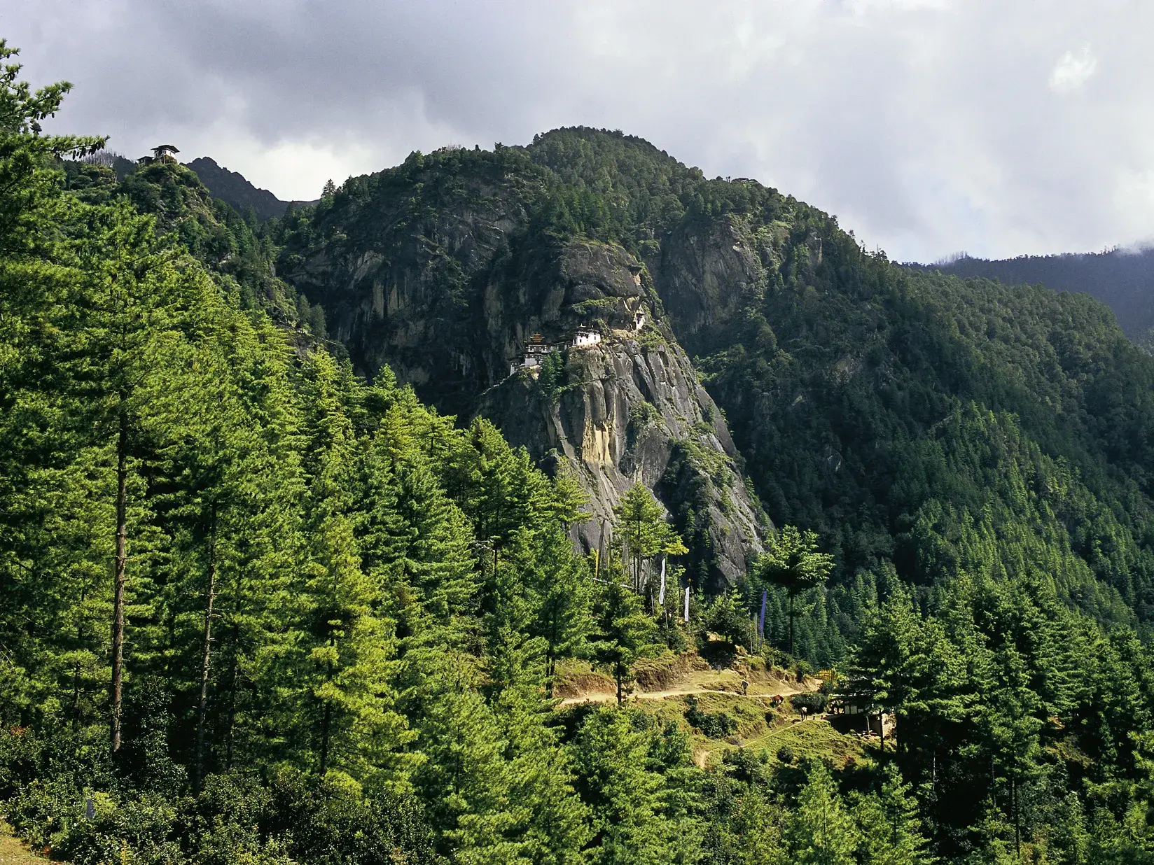 Blick von einem Wanderweg auf das berühmte Tigernest-Kloster Taktshang, das an einer Felswand im bewaldeten Paro-Tal in Bhutan thront.