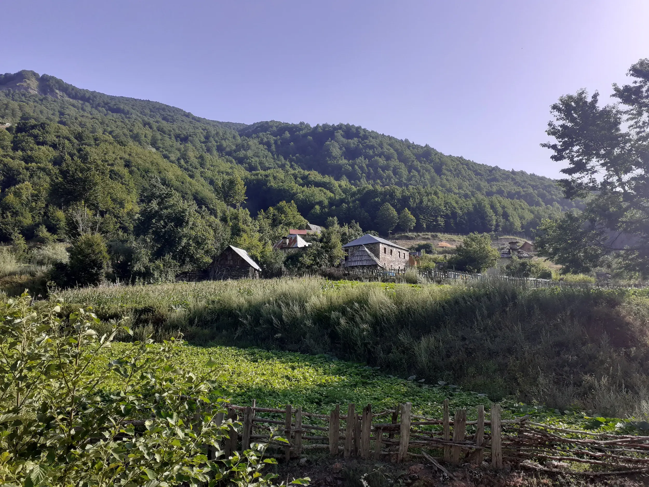 Rustikale Steinhäuser eines Gästehauses in den albanischen Bergen am „Peaks of the Balkans“-Trail vor einem bewaldeten Hang.