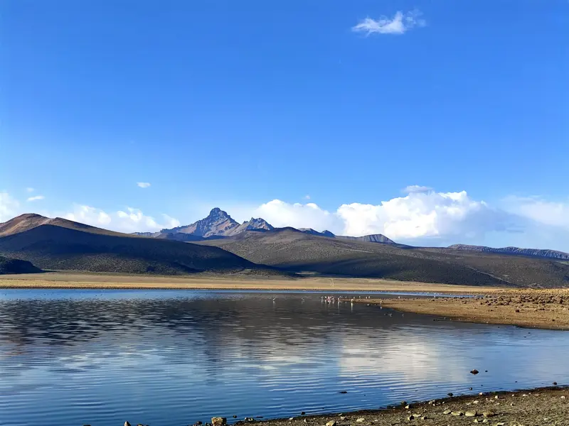 Panoramablick auf die Lagune Saquewa mit Andenflamingos und die Bergkette im bolivianischen Sajama Nationalpark.