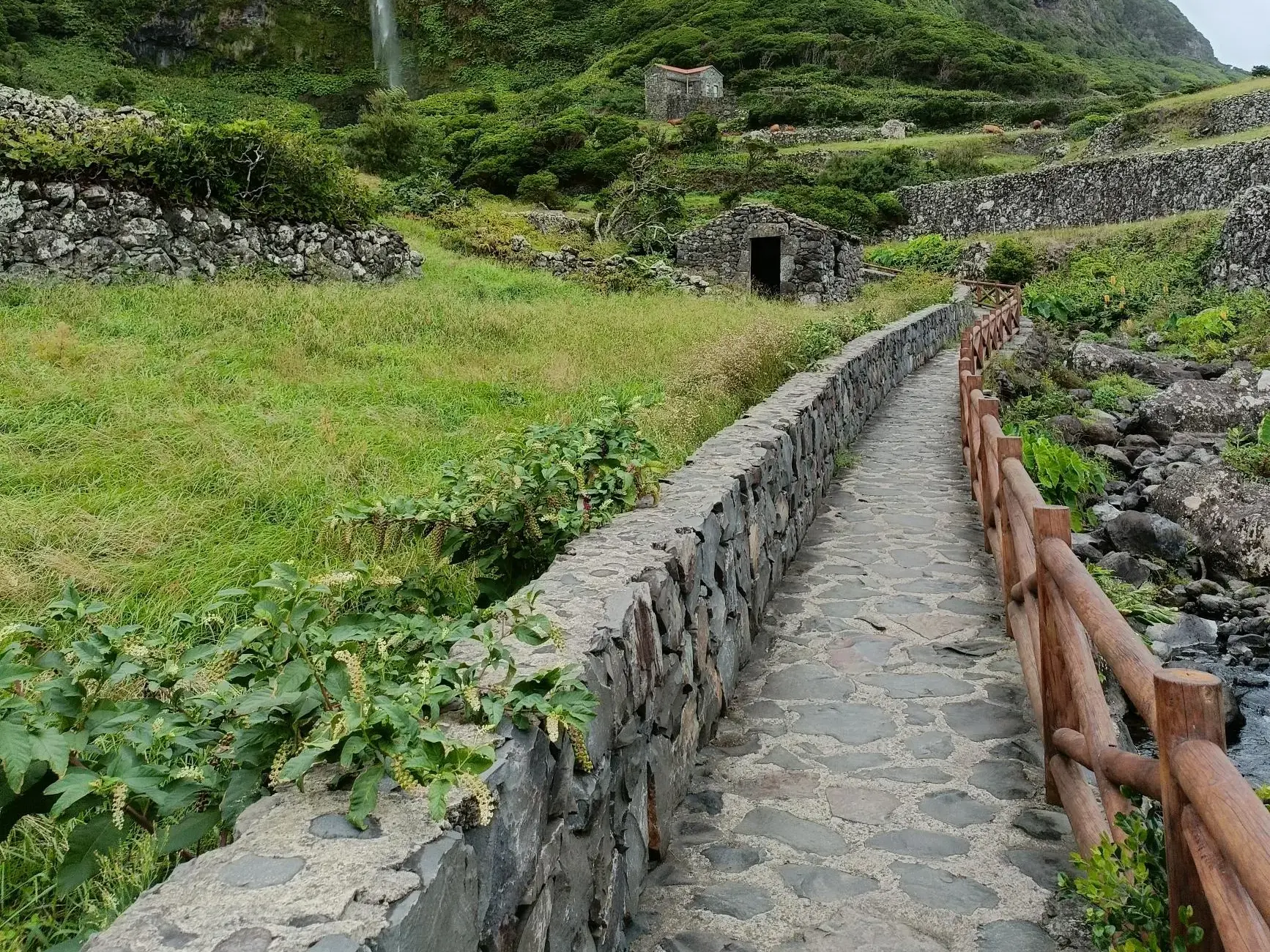 Ein gepflasterter Steinpfad mit Holzgeländer führt durch die grüne Hügellandschaft der Azoren-Insel Flores bei Aldeia da Cuada.