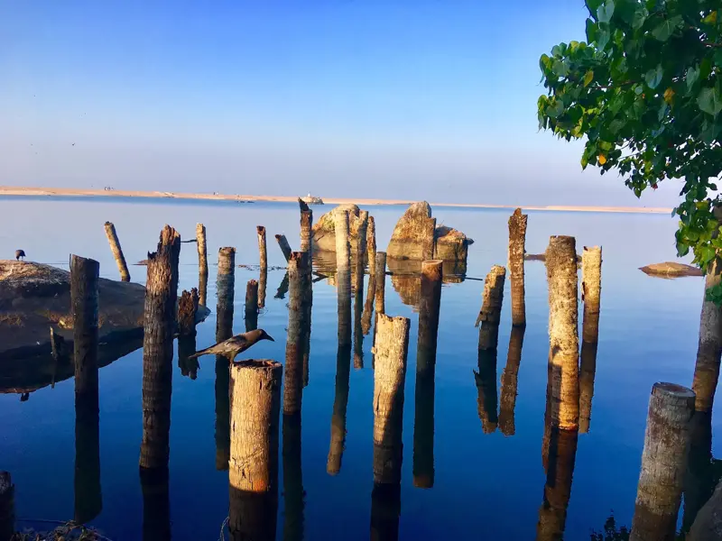 Ruhige Wasseroberfläche des Vembanad-Sees in Kerala mit verwitterten Holzpfählen und einer Krähe unter blauem Himmel.