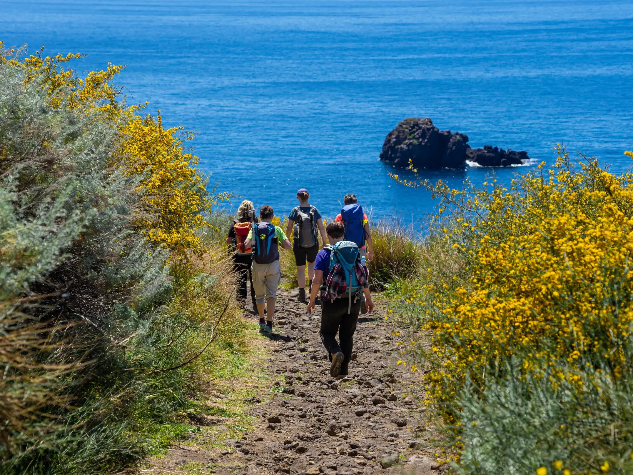 Eine Reisegruppe wandert auf einem steinigen Küstenpfad auf Panarea, gesäumt von leuchtend gelbem Ginster, zum Meer hinab.