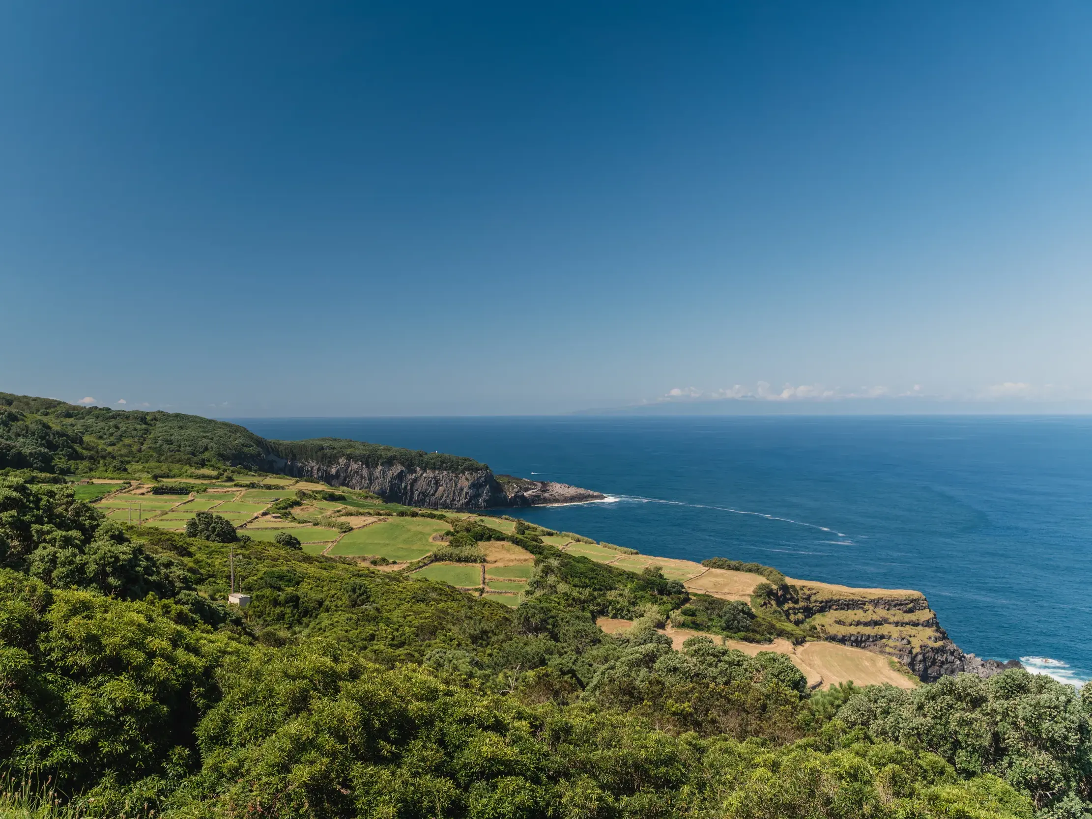 Ausblick bei einer Küstenwanderung auf Terceira über grüne Weiden und den tiefblauen Atlantik unter klarem Himmel.