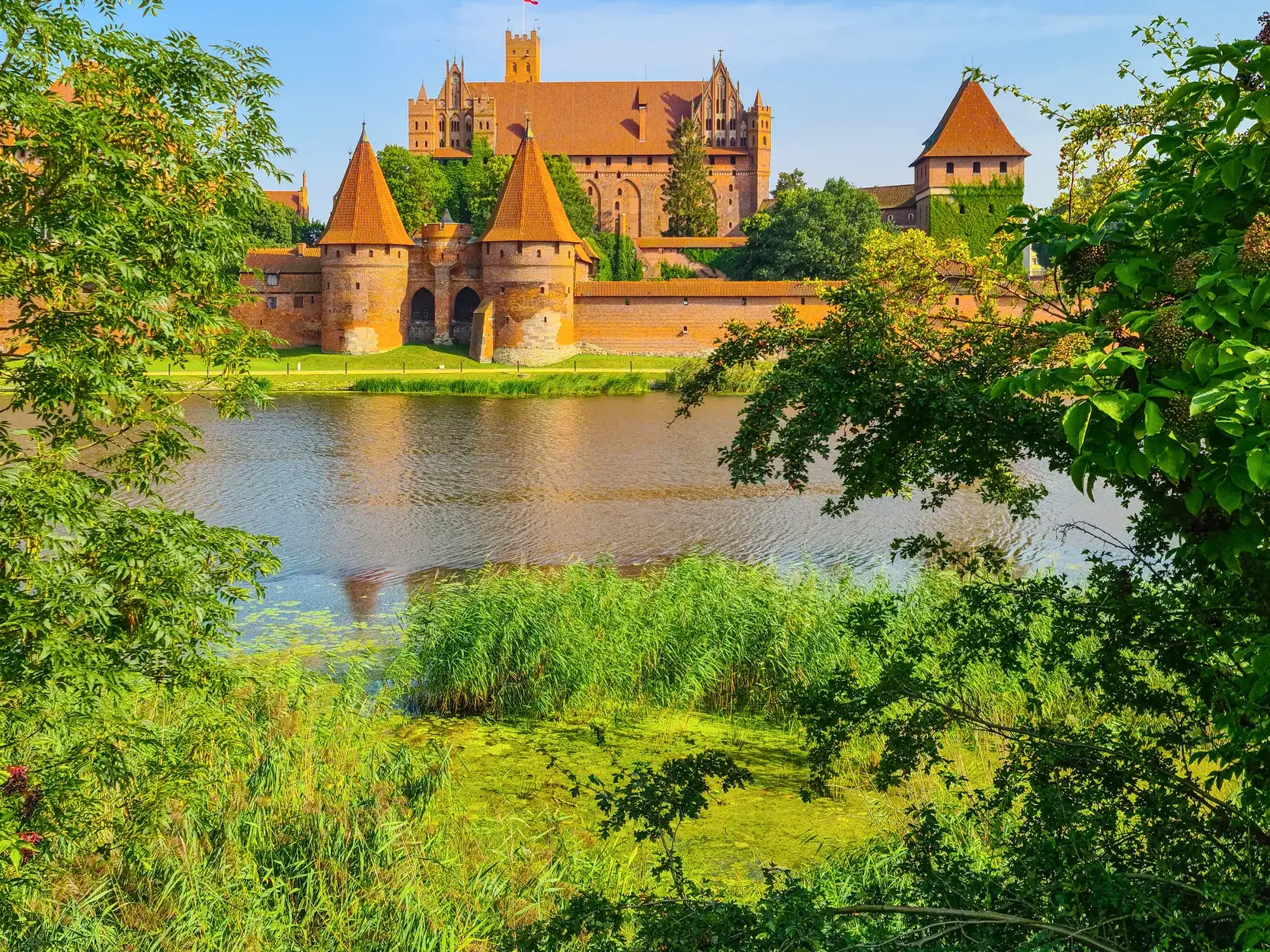 Blick durch grüne Bäume auf die imposante Marienburg in Malbork, UNESCO-Welterbe, die sich am Ufer der Nogat erhebt.