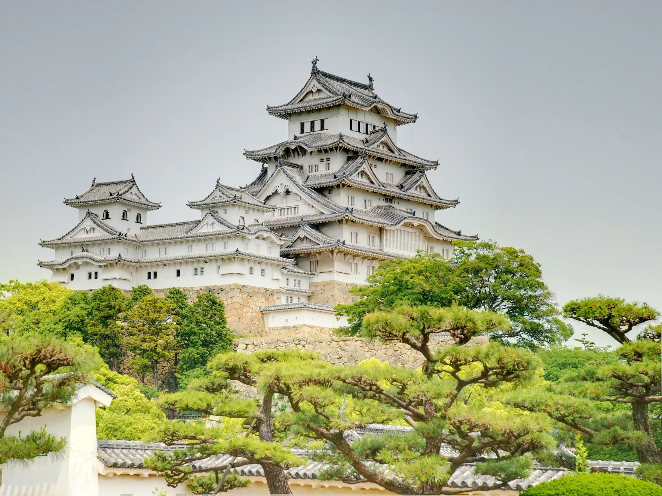 Die majestätische, weiße Burg des Weißen Reihers in Himeji, Japan, thront auf einem Hügel über sattgrünen Gärten.