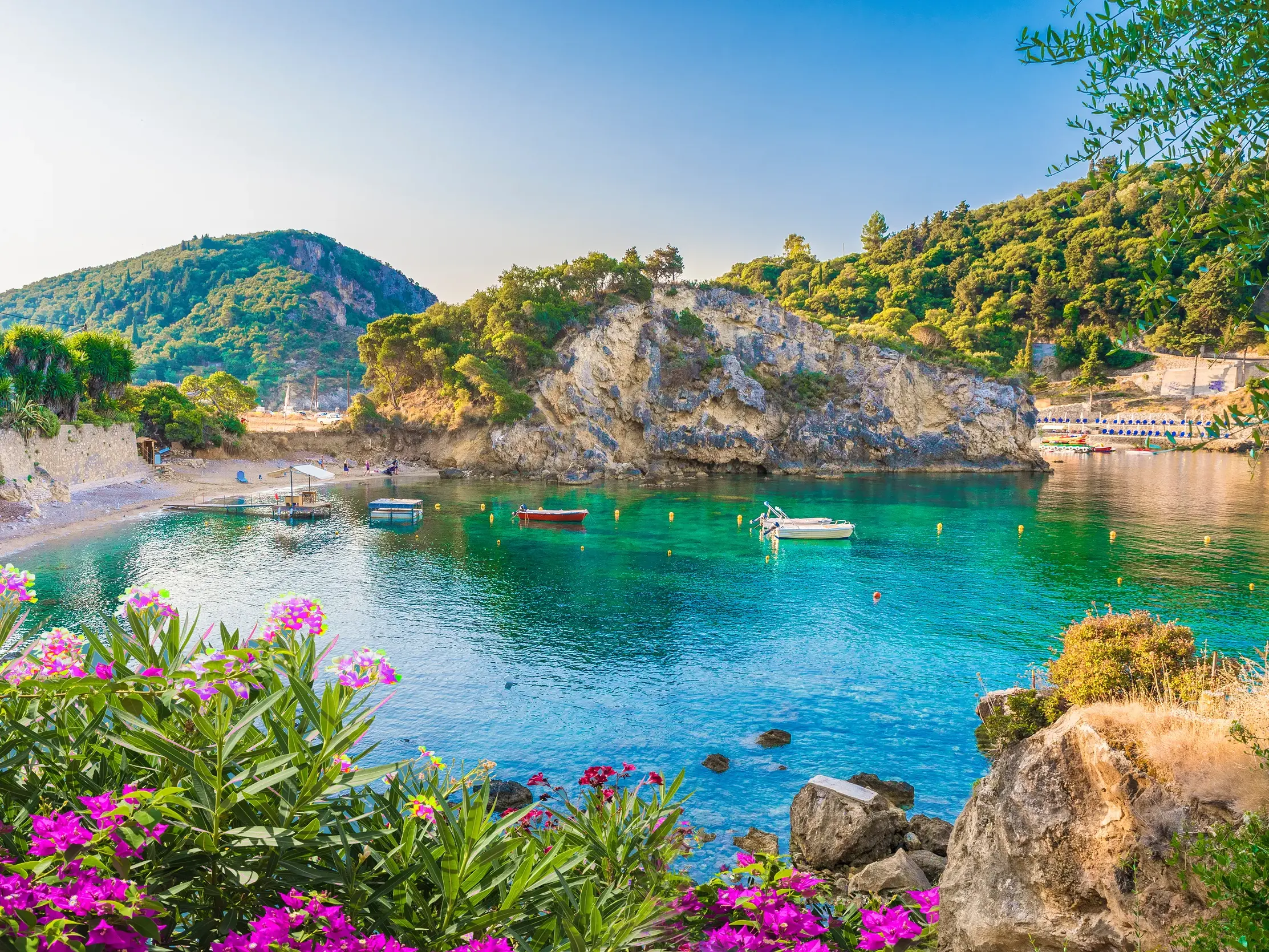 Malerische Bucht von Paleokastritsa auf Korfu mit kleinen Booten auf türkisfarbenem Wasser und pinken Blüten im Vordergrund.