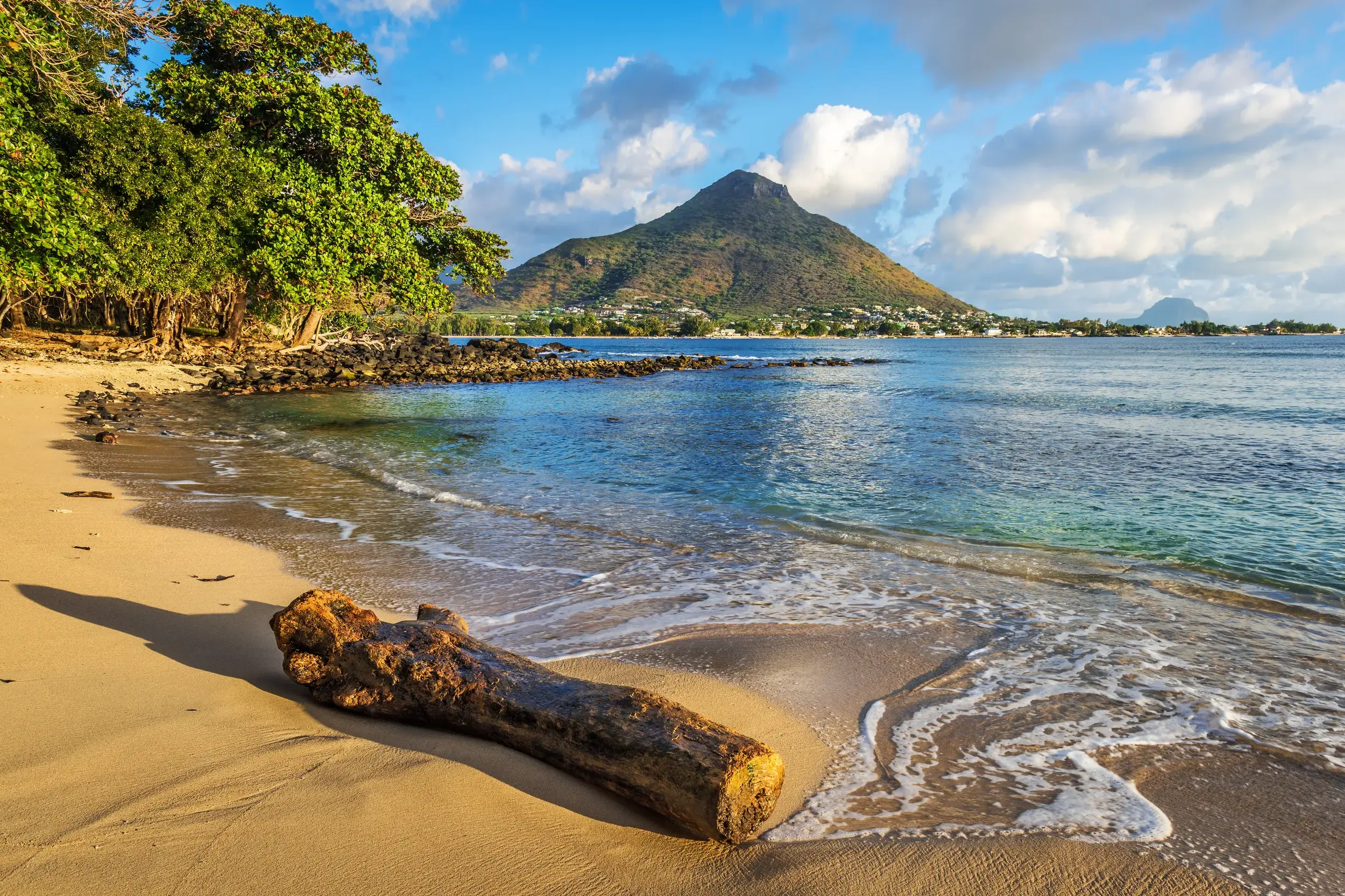 Idyllischer Sandstrand auf Mauritius mit Treibholz im Vordergrund und Blick auf einen üppig grünen Berg am Indischen Ozean.