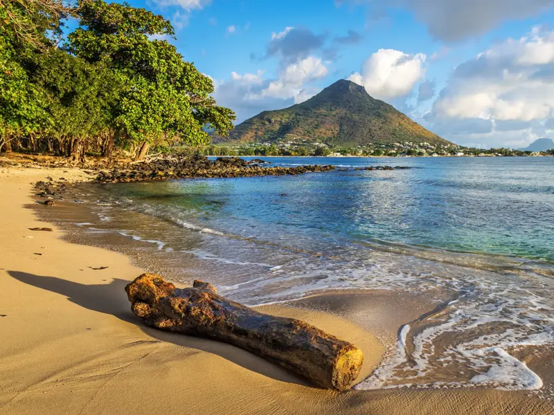 Idyllischer Sandstrand auf Mauritius mit Treibholz im Vordergrund und Blick auf einen üppig grünen Berg am Indischen Ozean.