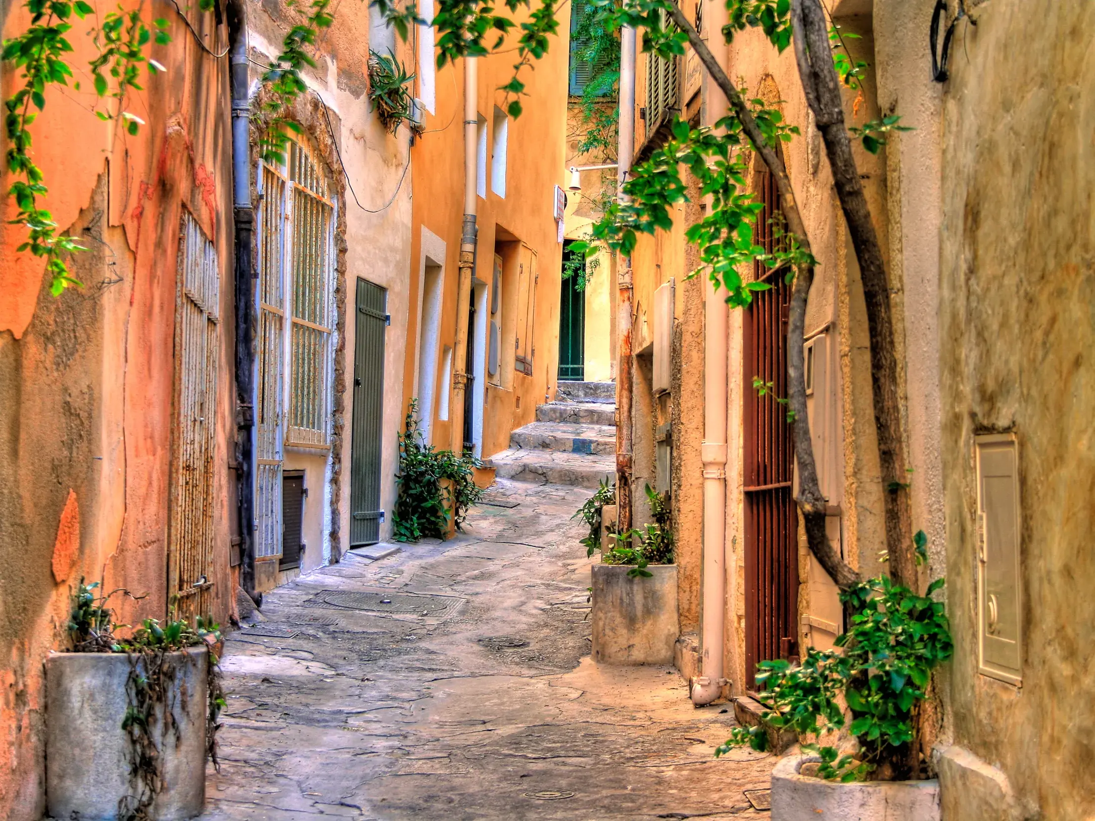 Sonnendurchflutete, enge Gasse mit Kopfsteinpflaster und bewachsenen, ockerfarbenen Hauswänden in der Altstadt von Saint Tropez.