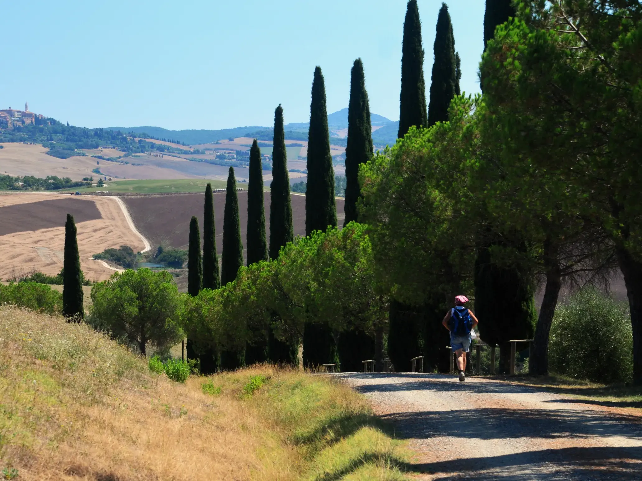 Eine Person wandert auf einem von Zypressen gesäumten Weg durch die Hügellandschaft des Val d'Orcia mit Blick auf Pienza.